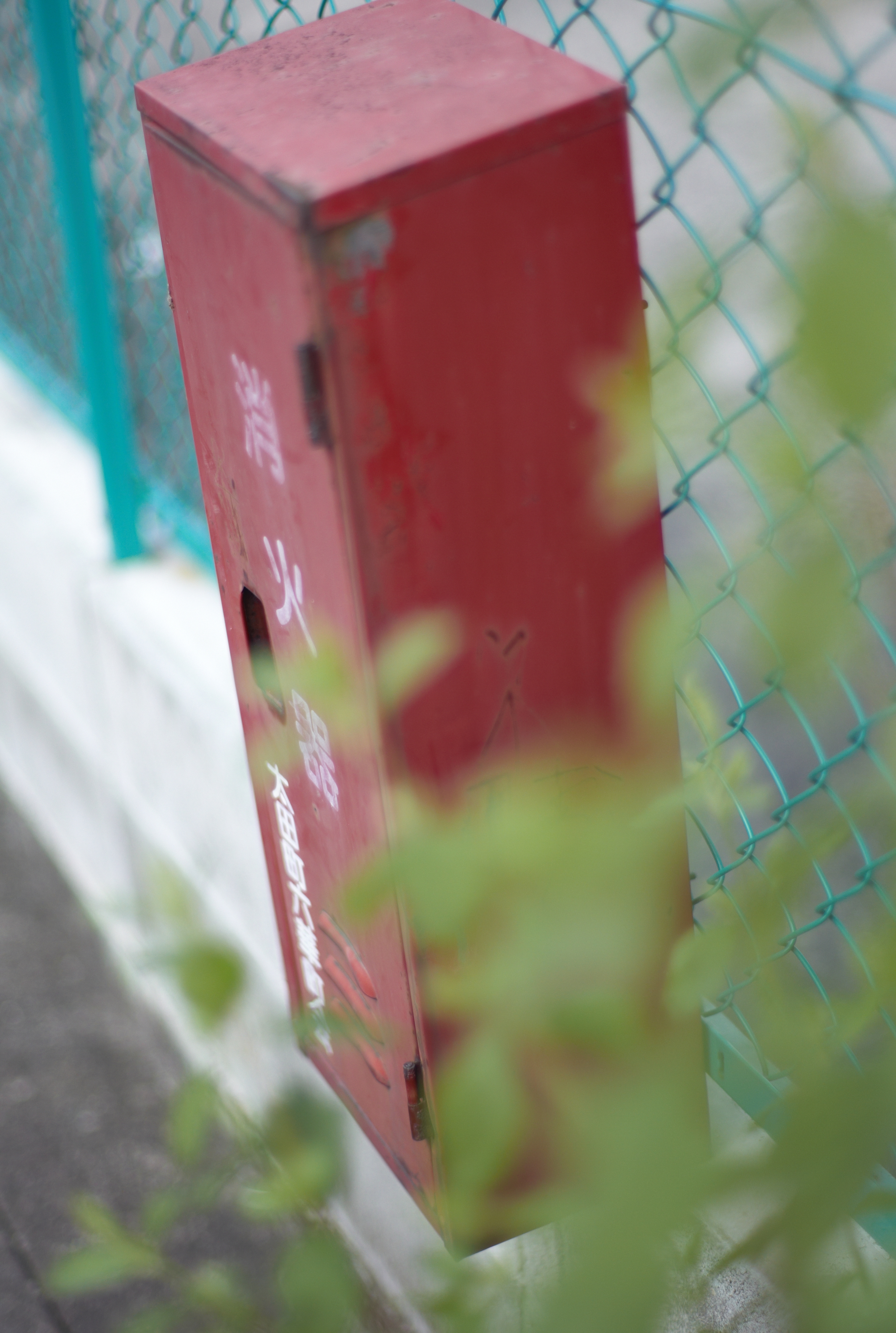 <b>M8 / NOKTON 50mm F1.1 / 約5.7MB / 2,634×3,916 / 1/3,003秒 / F1.1 / 0EV / ISO160 / WB:オート</b>