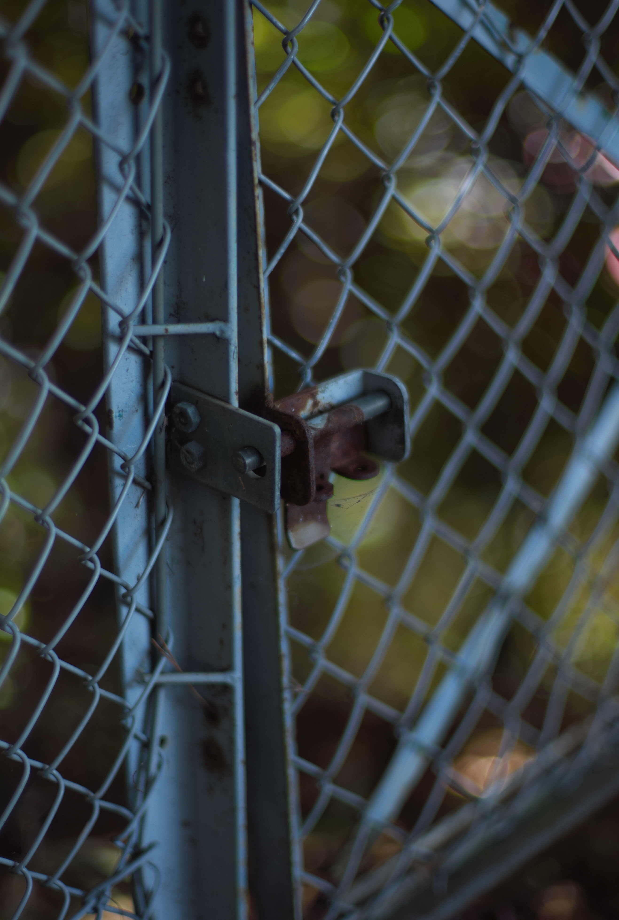 <b>M8 / NOKTON 50mm F1.1 / 約5.6MB / 2,634×3,916 / 1/360秒 / F1.1 / 0EV / ISO160 / WB:オート</b>