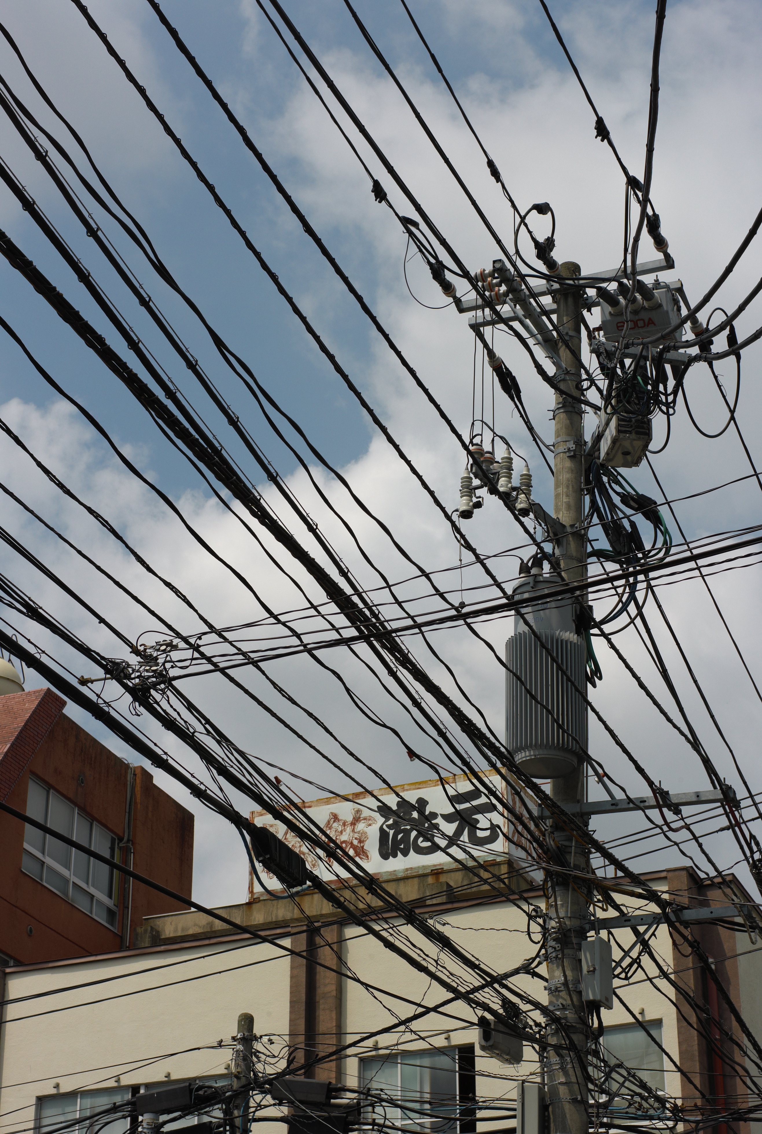 <b>M8 / NOKTON 50mm F1.1 / 約7.3MB / 2,634×3,916 / 1/1,000秒 / F5.6 / 0EV / ISO160 / WB:オート</b>