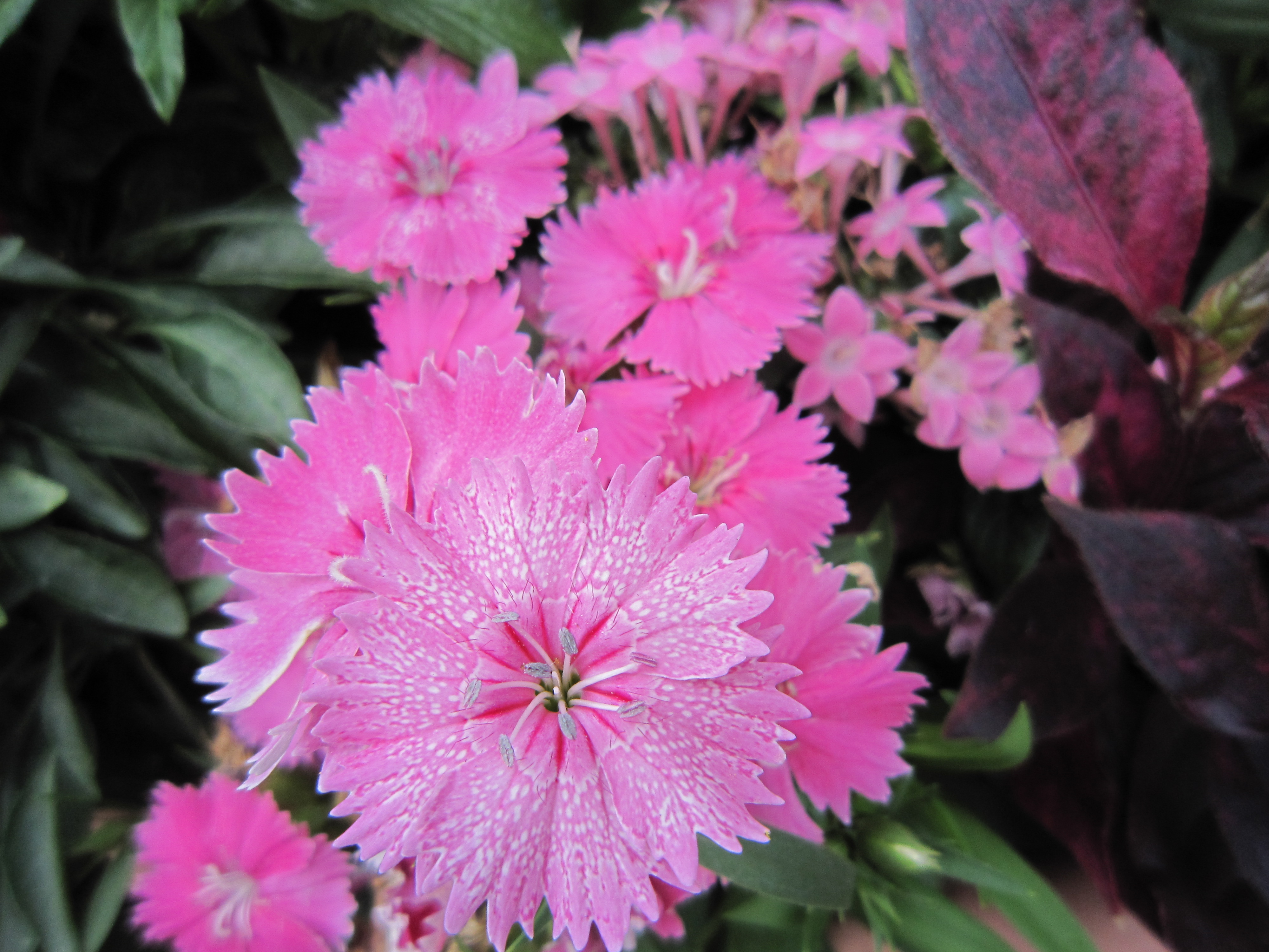 <b>IXY DIGITAL 930 IS / 約2.2MB / 4,000×3,000 / 1/100秒 / F4 / 0EV / ISO80 / WB:オート / 4.3mm</b>