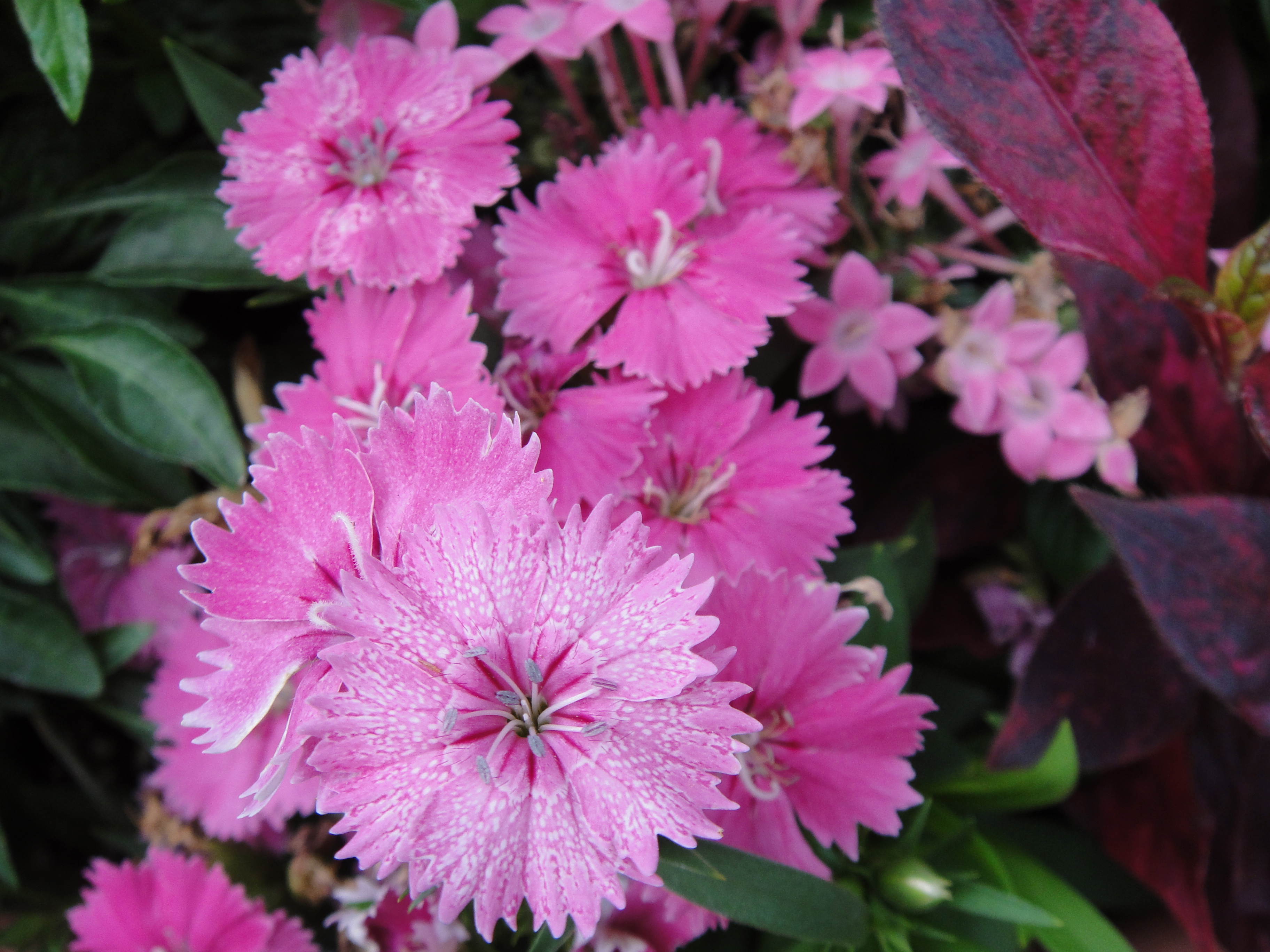 <b>DSC-TX1 / 約3.9MB / 3,648×2,736 / 1/200秒 / F3.5 / 0EV / ISO125 / WB:オート / 6.2mm</b>