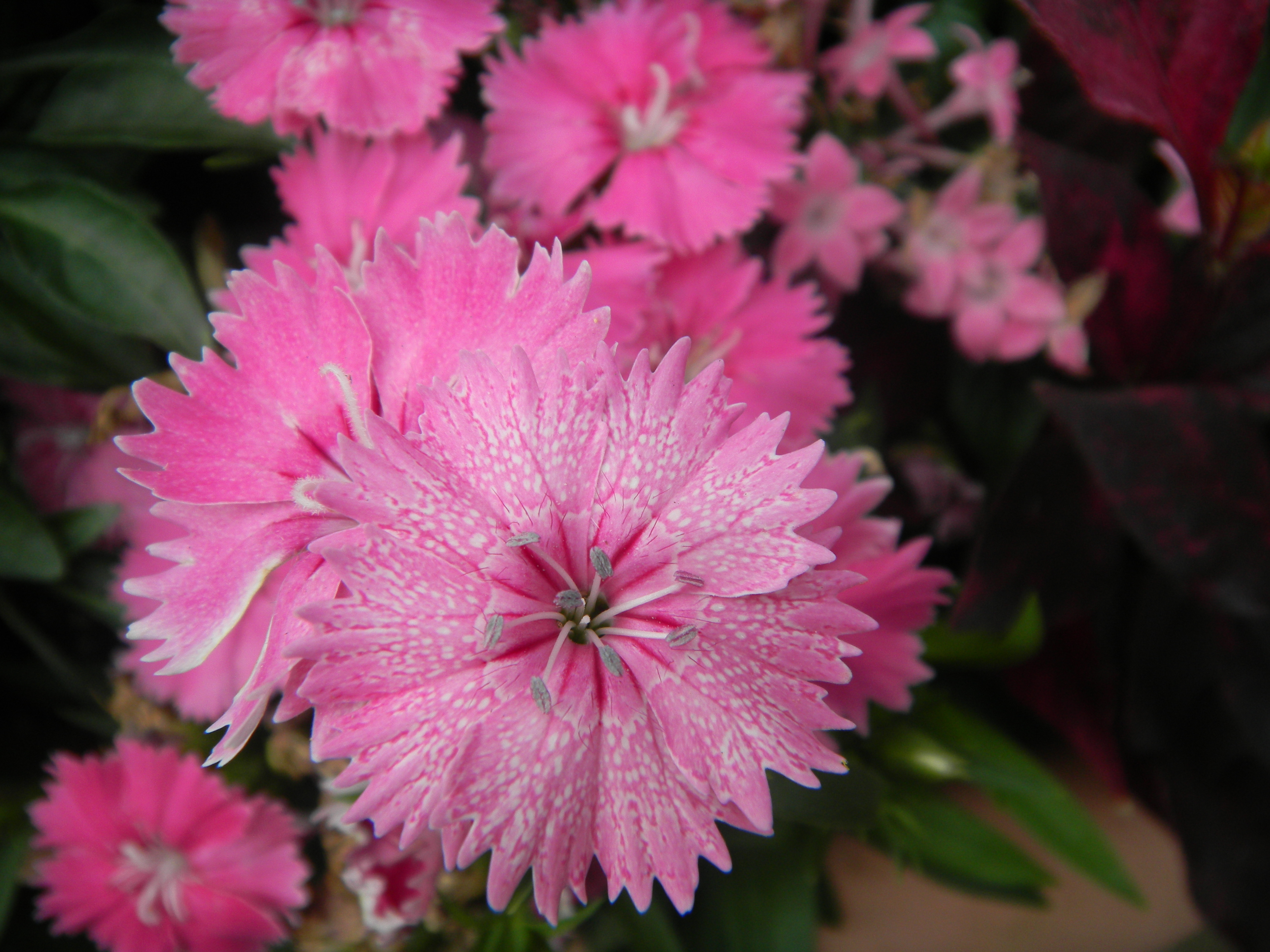 <b>COOLPIX S70 / 約5.0MB / 4,000×3,000 / 1/138秒 / F3.9 / 0EV / ISO80 / WB:オート / 5mm</b>