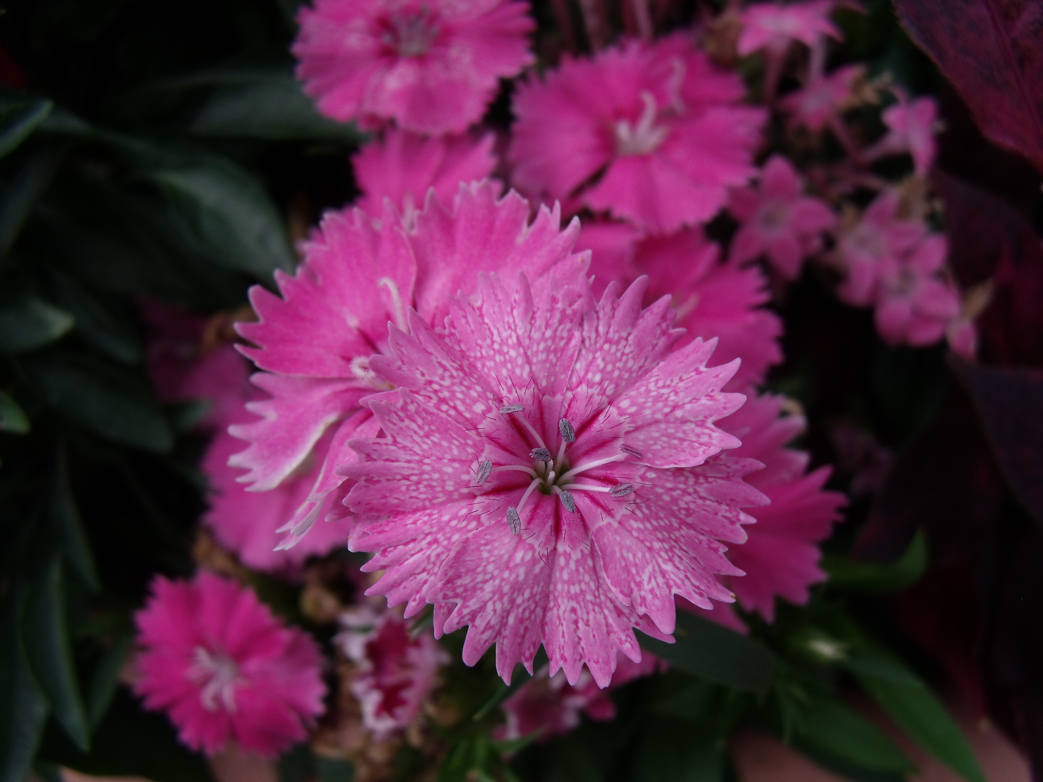 <b>E1250 TW / 約5.2MB / 4,000×3,000 / 1/157秒 / F3.3 / 0EV / ISO64 / WB:オート / 5.1mm</b>