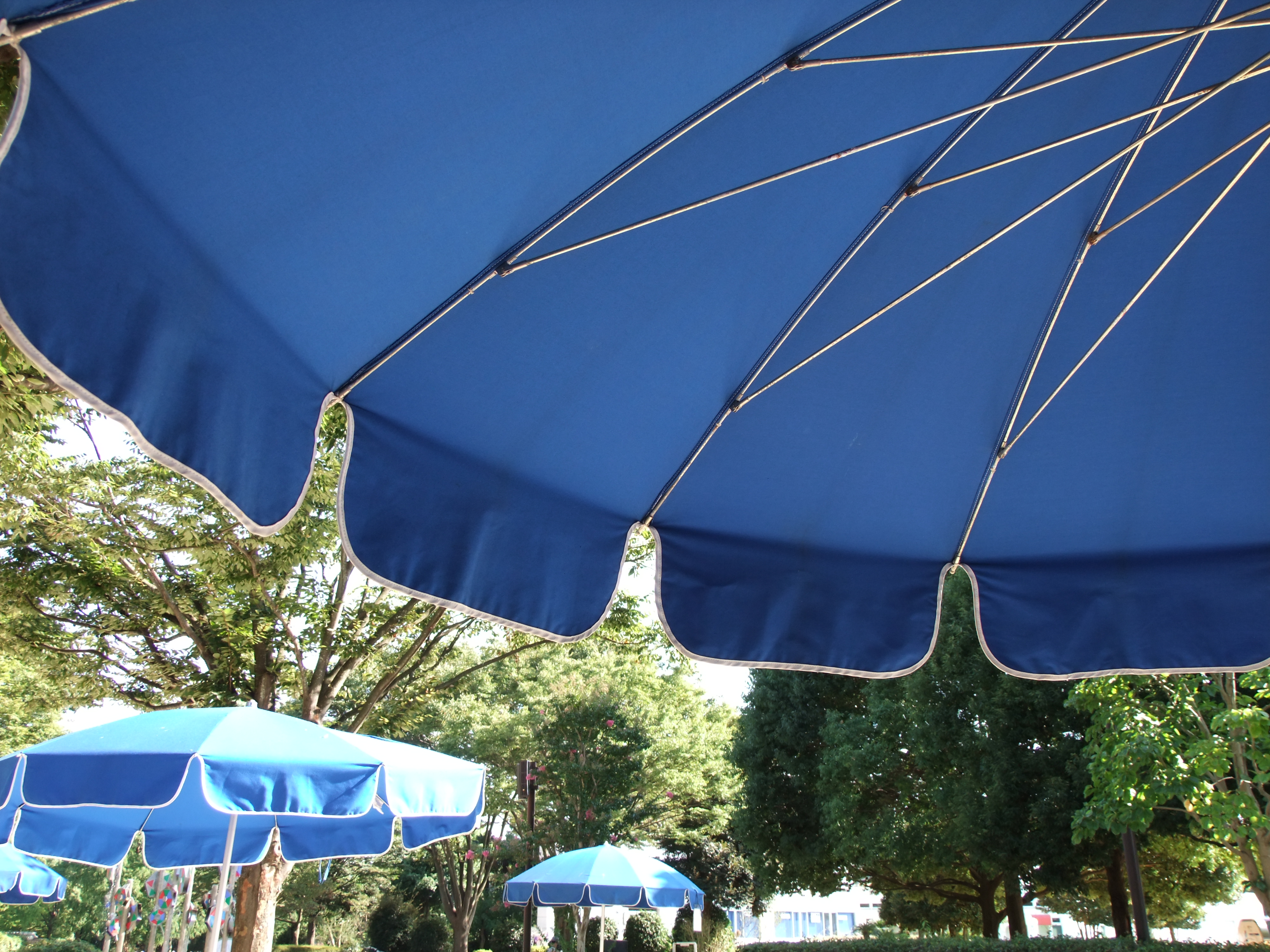 <b>ダイナミックレンジ100%<br>FinePix S200EXR / 約4.1MB / 4,000×3,000 / 1/85秒 / F4 / 0EV / ISO100 / WB:オート / 7.1mm</b>