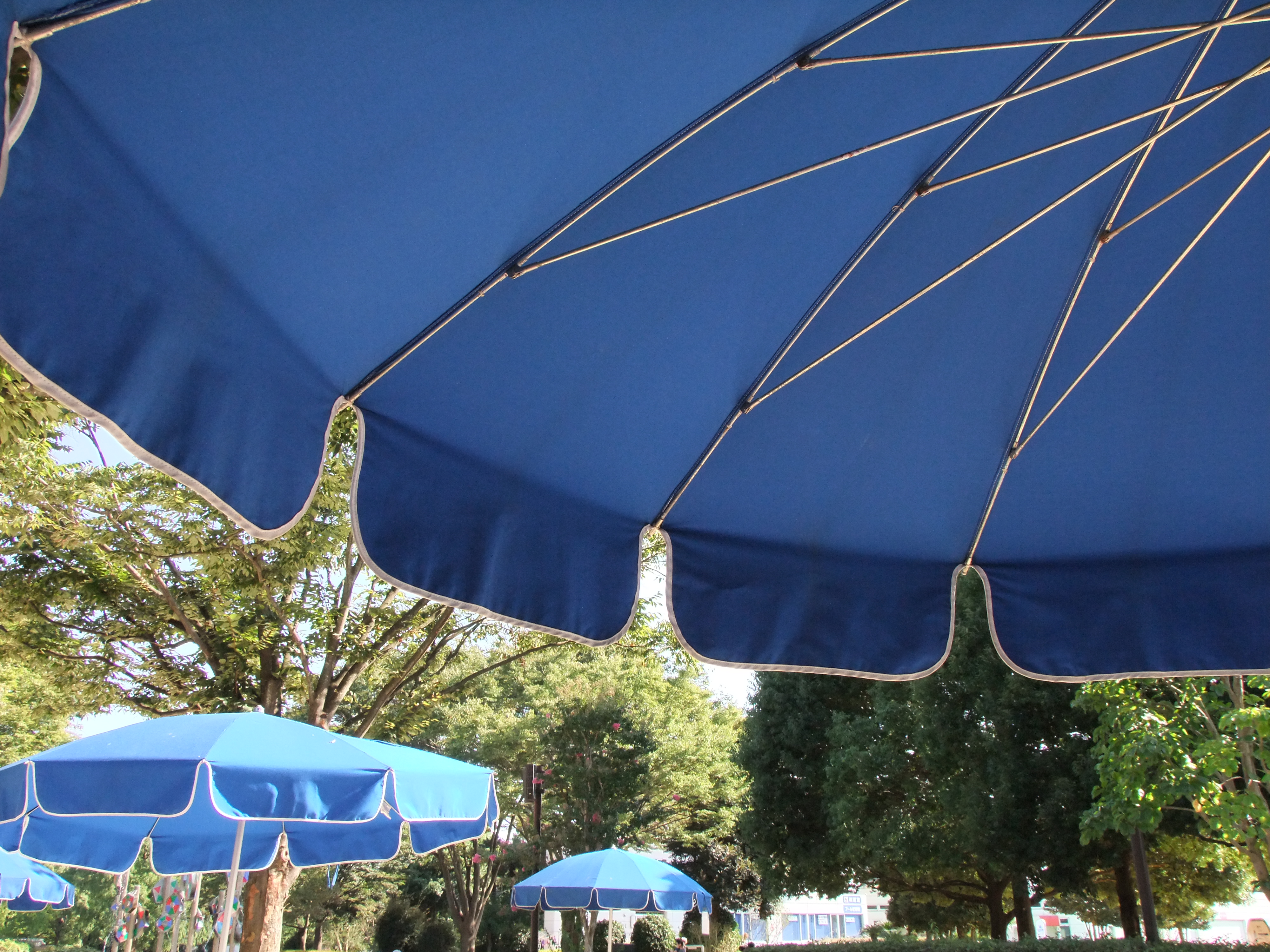 <b>ダイナミックレンジ400%<br>FinePix S200EXR / 約4.2MB / 4,000×3,000 / 1/180秒 / F5.6 / 0EV / ISO400 / WB:オート / 7.1mm</b>