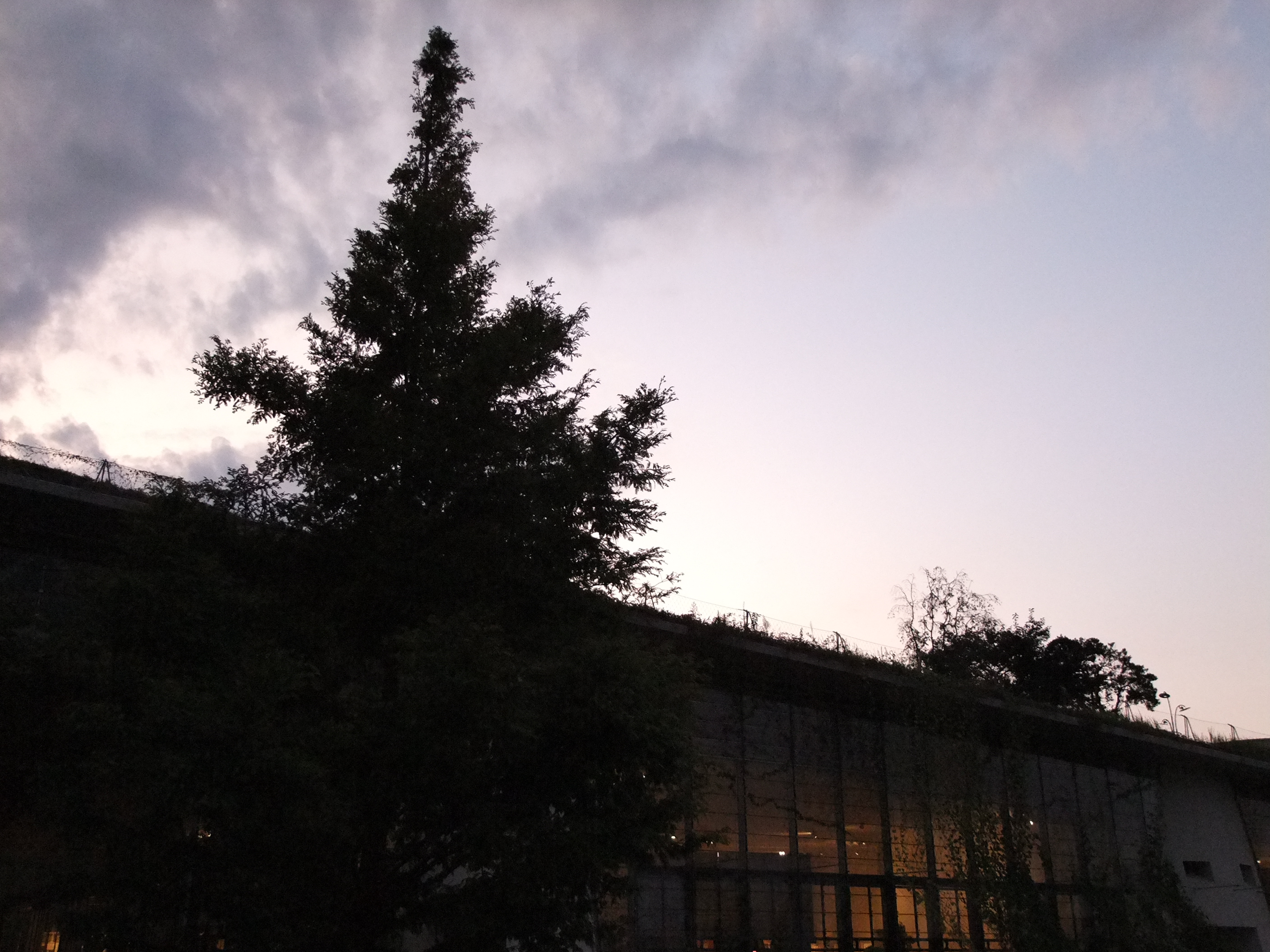 <b>ダイナミックレンジ100%<br>FinePix S200EXR / 約2.4MB / 2,816×2,112 / 1/85秒 / F2.9 / 0EV / ISO800 / WB:日陰 / 8.1mm</b>