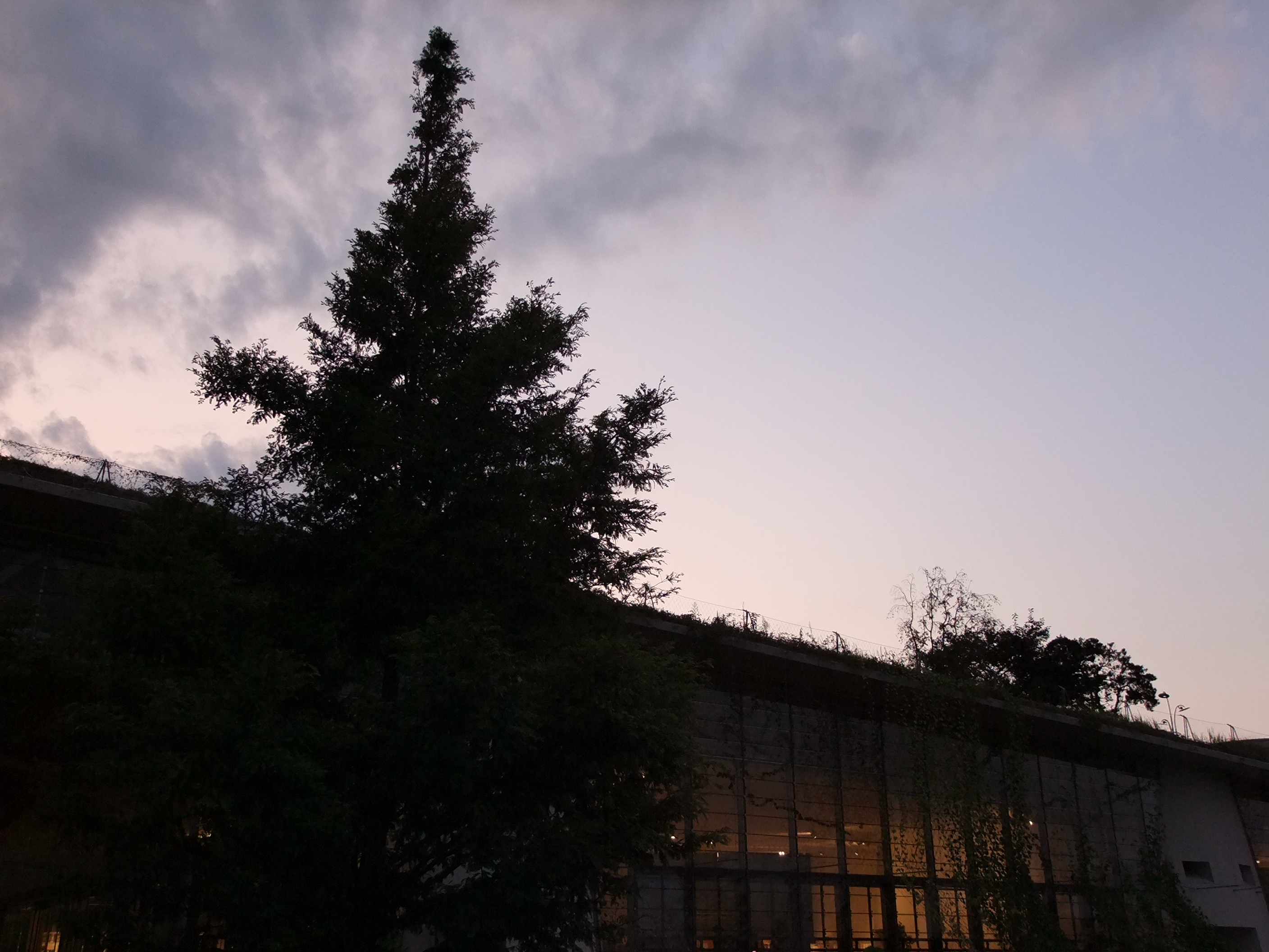 <b>ダイナミックレンジ800%<br>FinePix S200EXR / 約2.3MB / 2,816×2,112 / 1/20秒 / F2.9 / 0EV / ISO200 / WB:日陰 / 8.1mm</b>