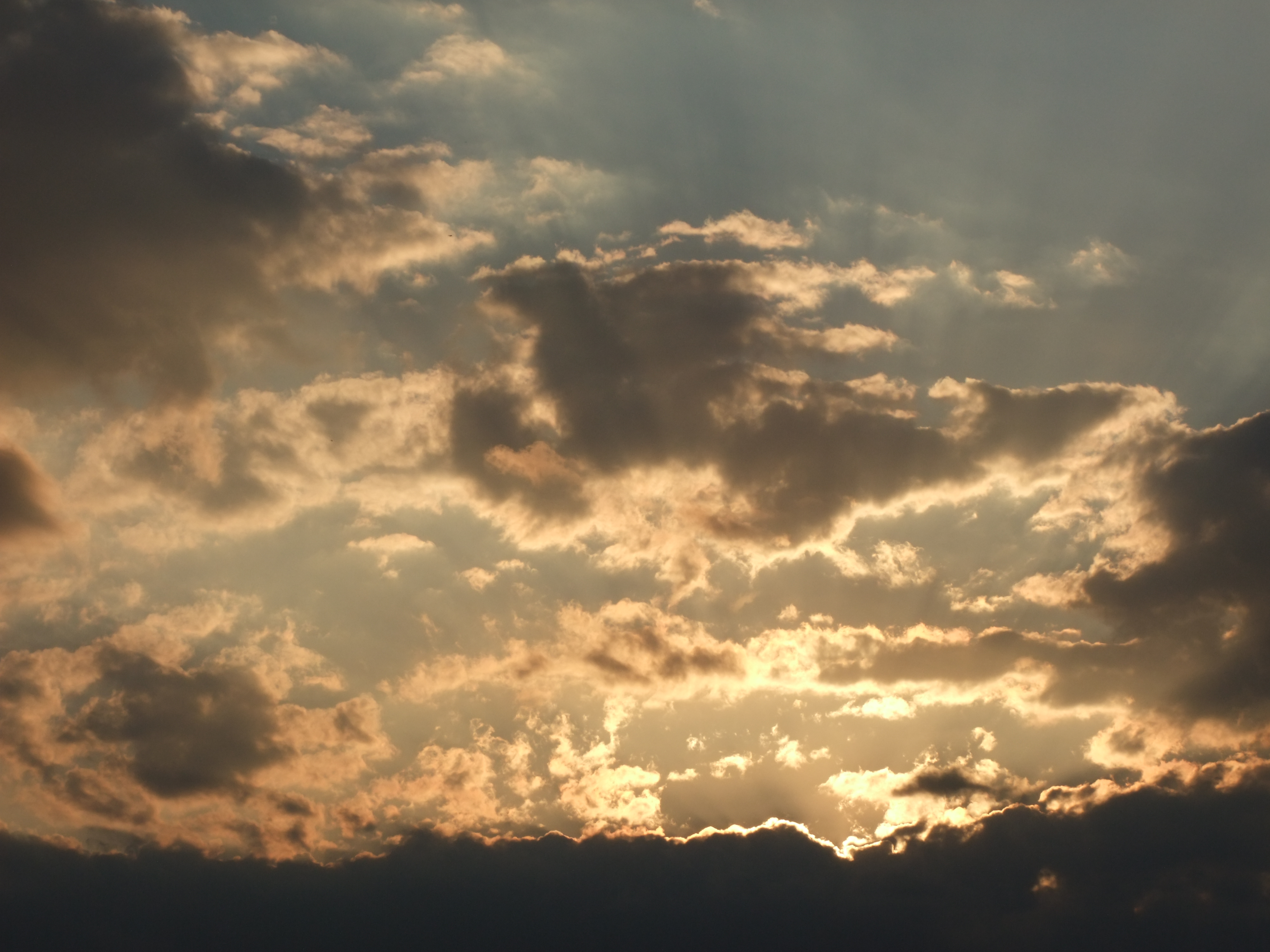 <b>通常モード<br>FinePix S200EXR / 約3.6MB / 4,000×3,000 / 1/750秒 / F8 / 0EV / ISO100 / WB:オート / 31.3mm</b>