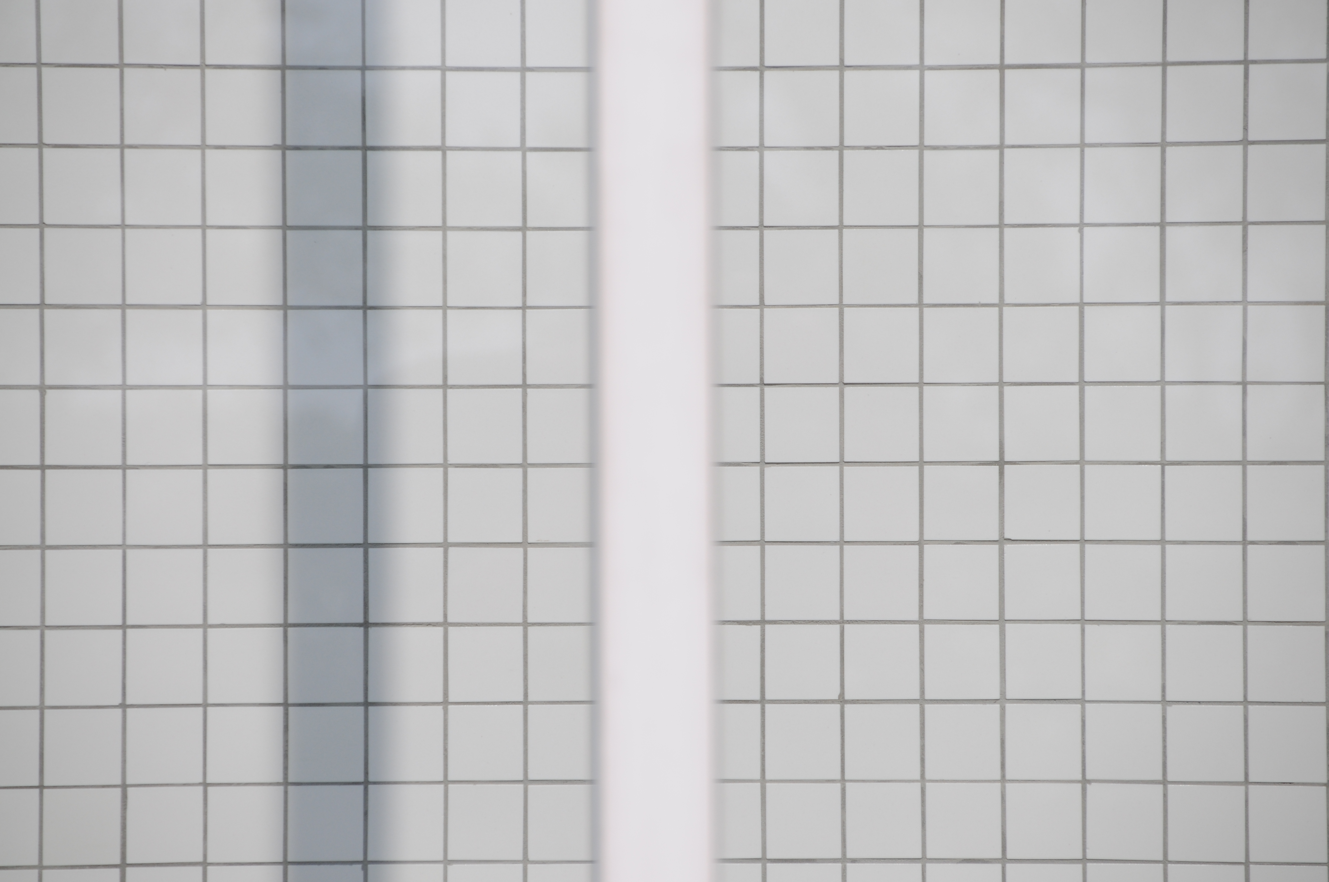 <b>D300 / AF-S DX NIKKOR 18-200mm F3.5-5.6 G ED VR II / 4,288×2,848 / 1/1,600秒 / F5.6 / ±0EV / ISO200 / WB：オート / 200mm（300mm相当）</b>