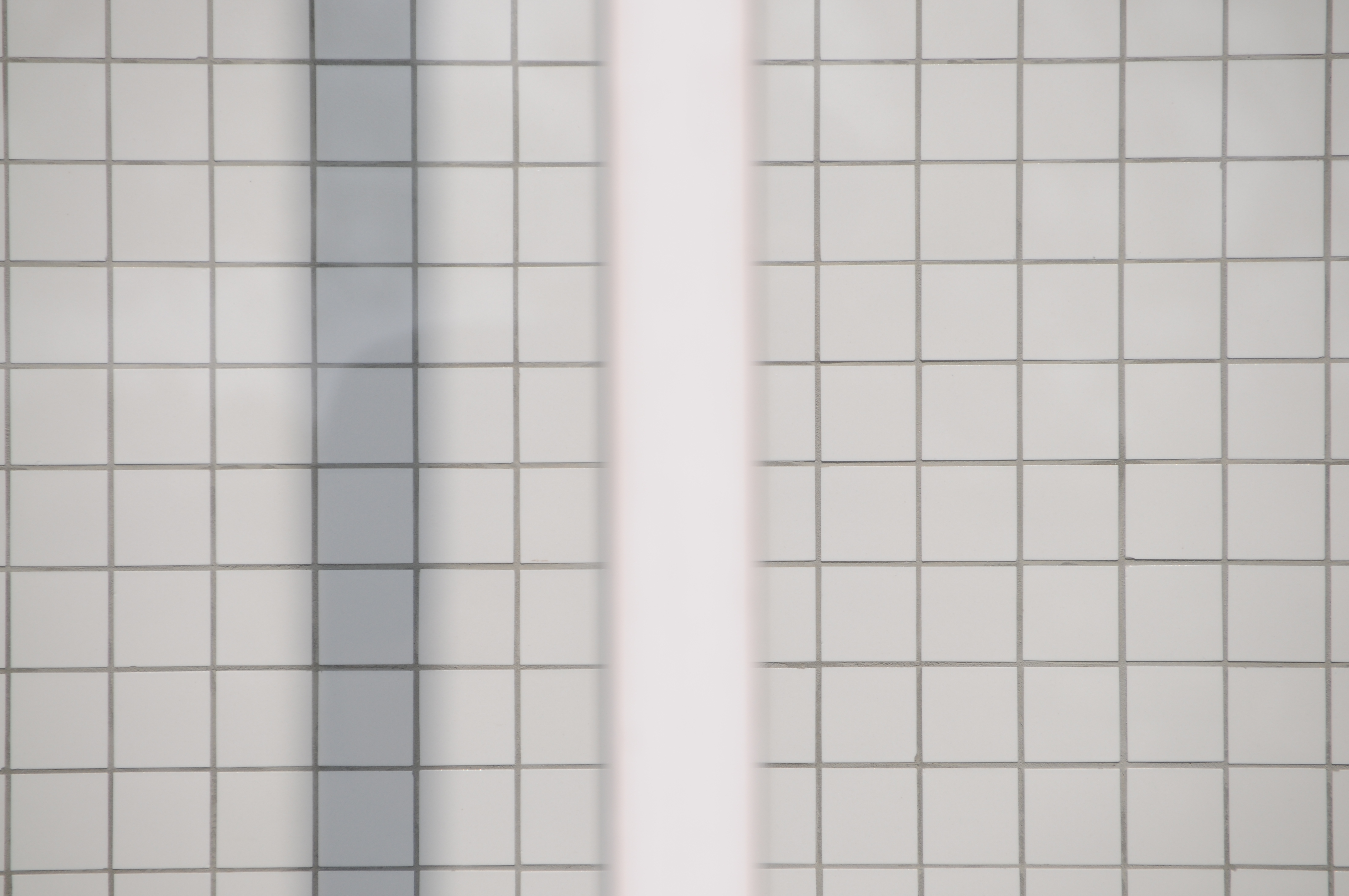 <b>D300 / 18-250mm F3.5-6.3 DC OS HSM / 4,288×2,848 / 1/1,250秒 / F6.3 / ±0EV / ISO200 / WB：オート / 250mm（375mm相当）</b>