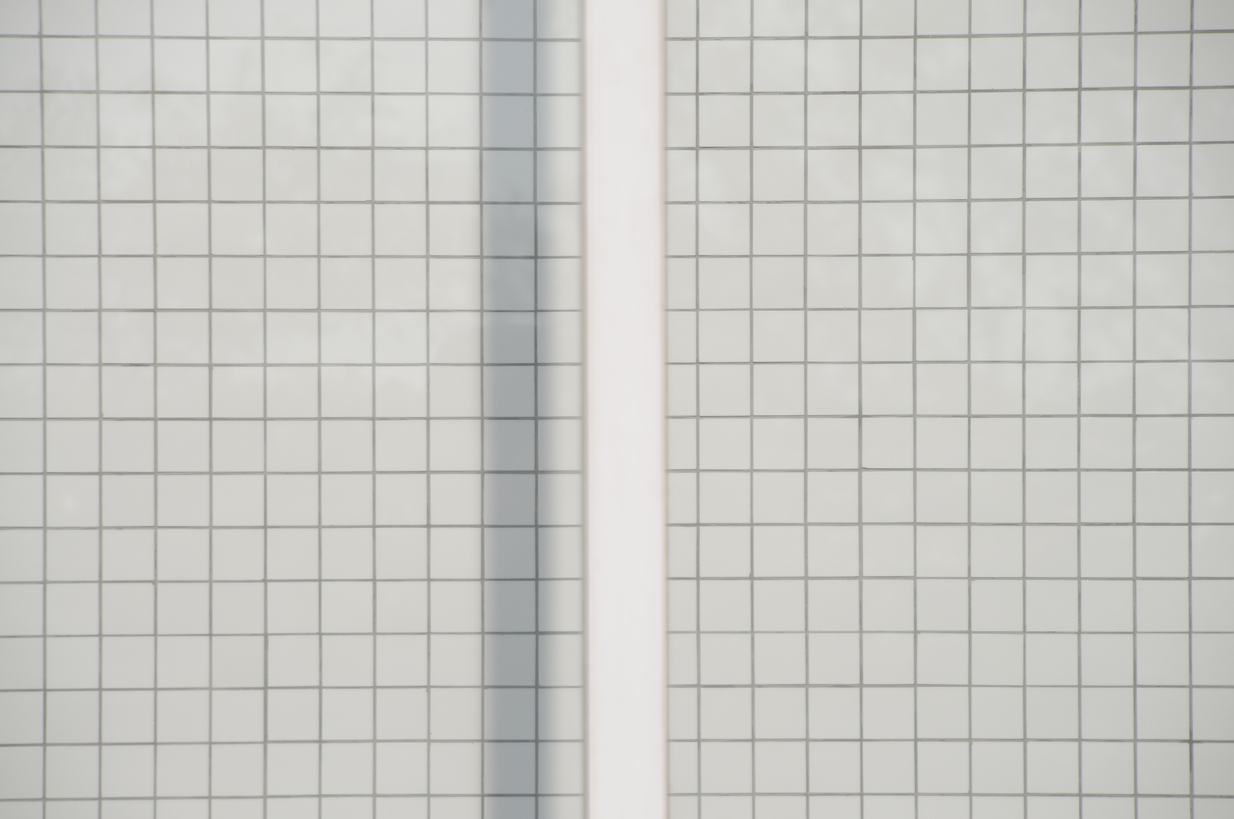 <b>D300 / AT-X 16.5-135 DX / 4,288×2,848 / 1/1,600秒 / F5.6 / ±0EV / ISO200 / WB：オート / 135mm（203mm相当）</b>