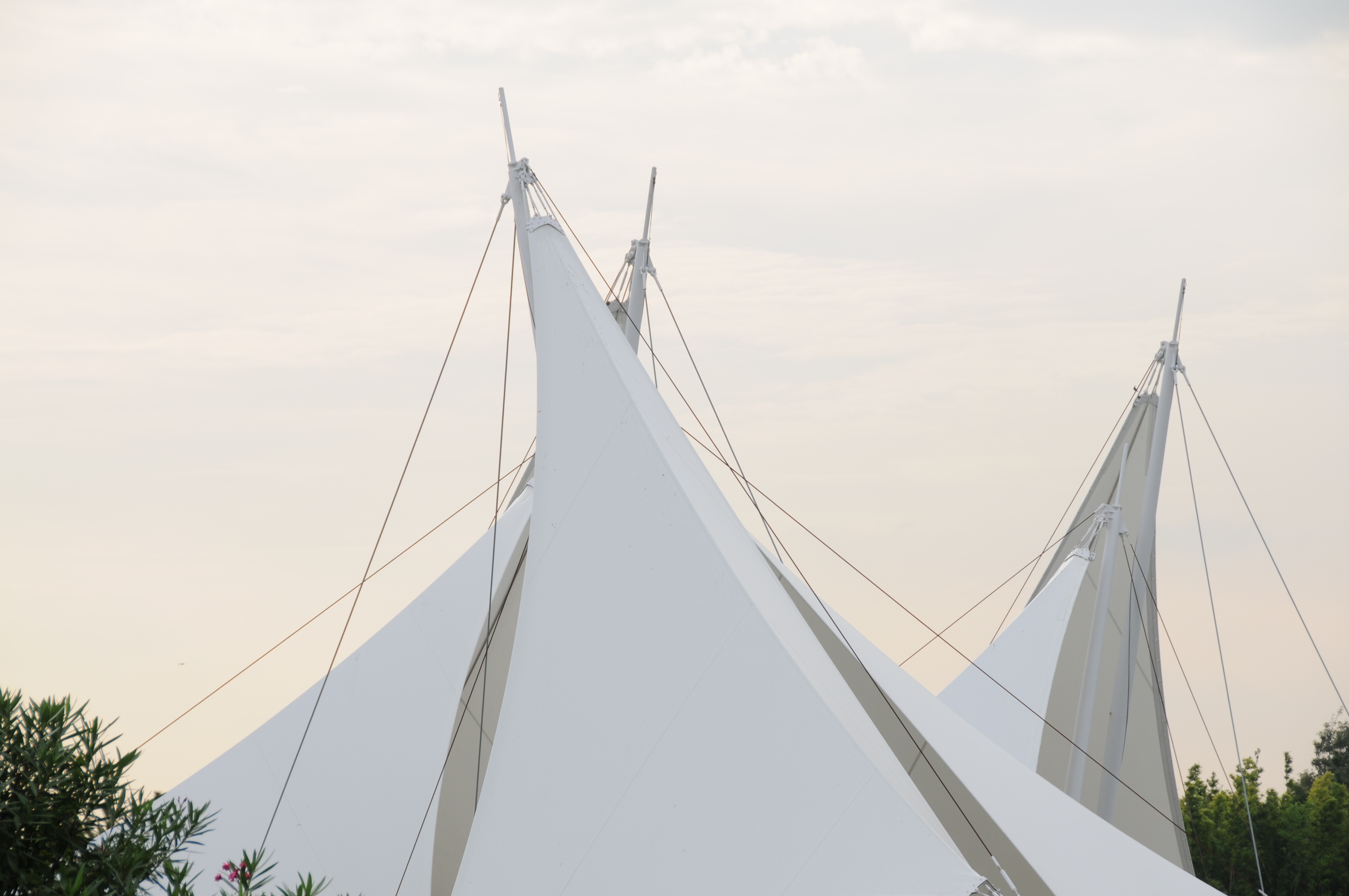 <b>D300 / AF-S DX NIKKOR 18-200mm F3.5-5.6 G ED VR II / 4,288×2,848 / 1/320秒 / F8 / +0.3EV / ISO200 / WB：晴天 / 120mm（180mm相当）</b>