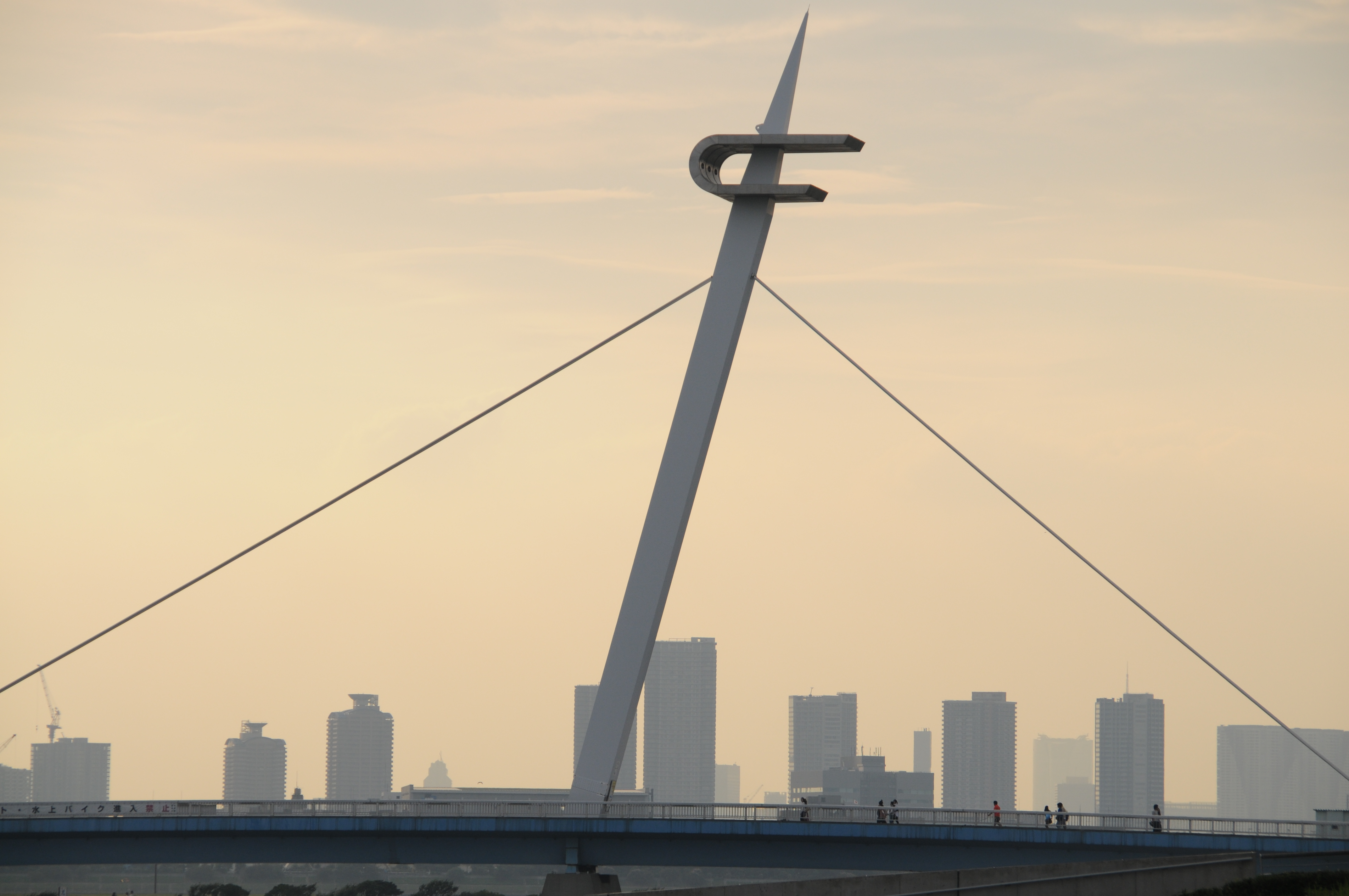 <b>D300 / 18-250mm F3.5-6.3 DC OS HSM / 4,288×2,848 / 1/500秒 / F8 / -0.3EV / ISO200 / WB：晴天 / 116mm（174mm相当）</b>