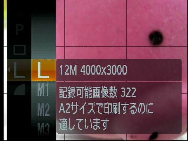 <b>新たにグラフィカルユーザーインターフェースを変更したほか、機能ガイドを表示するようになった</b>