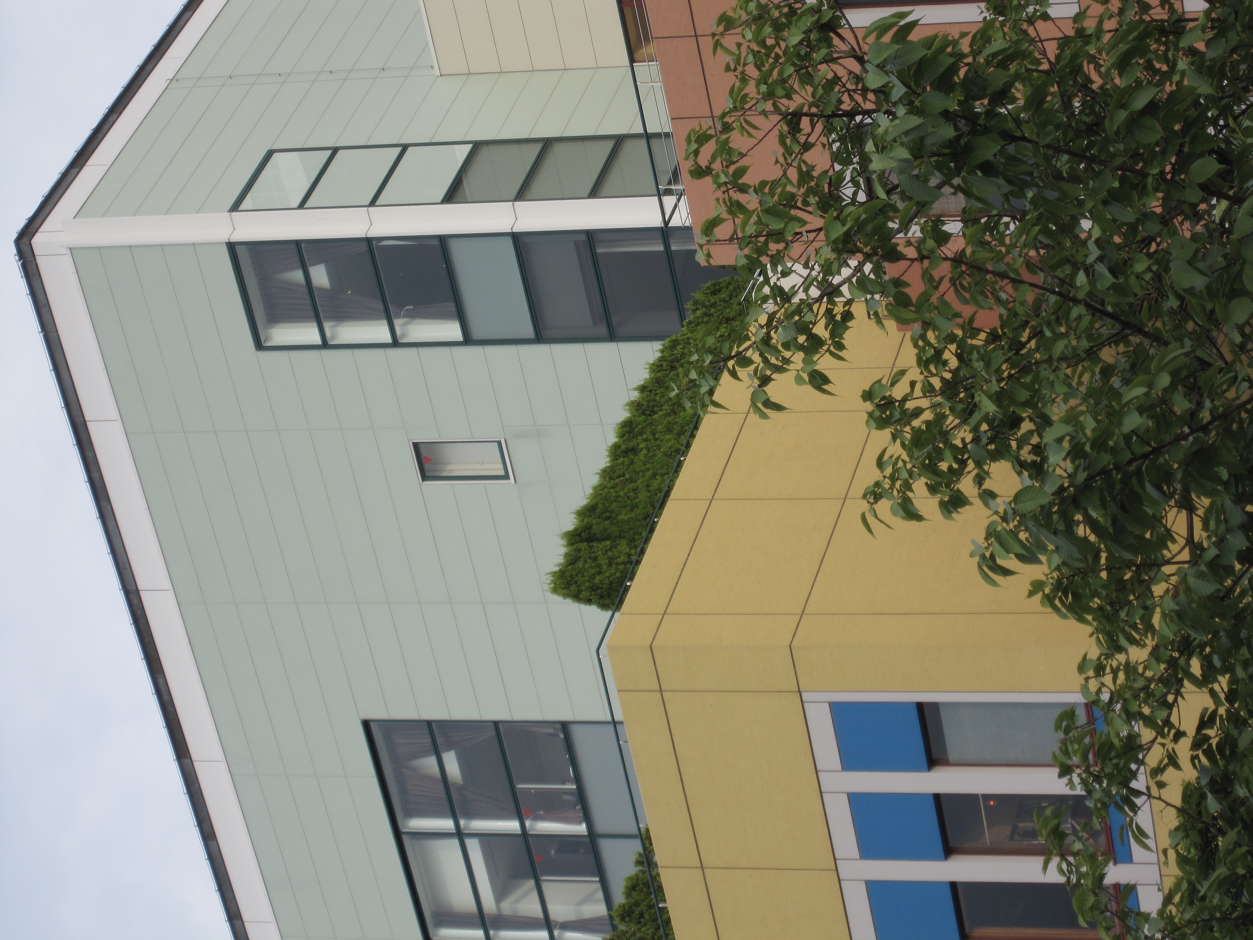 <b>すっきりカラー</b>