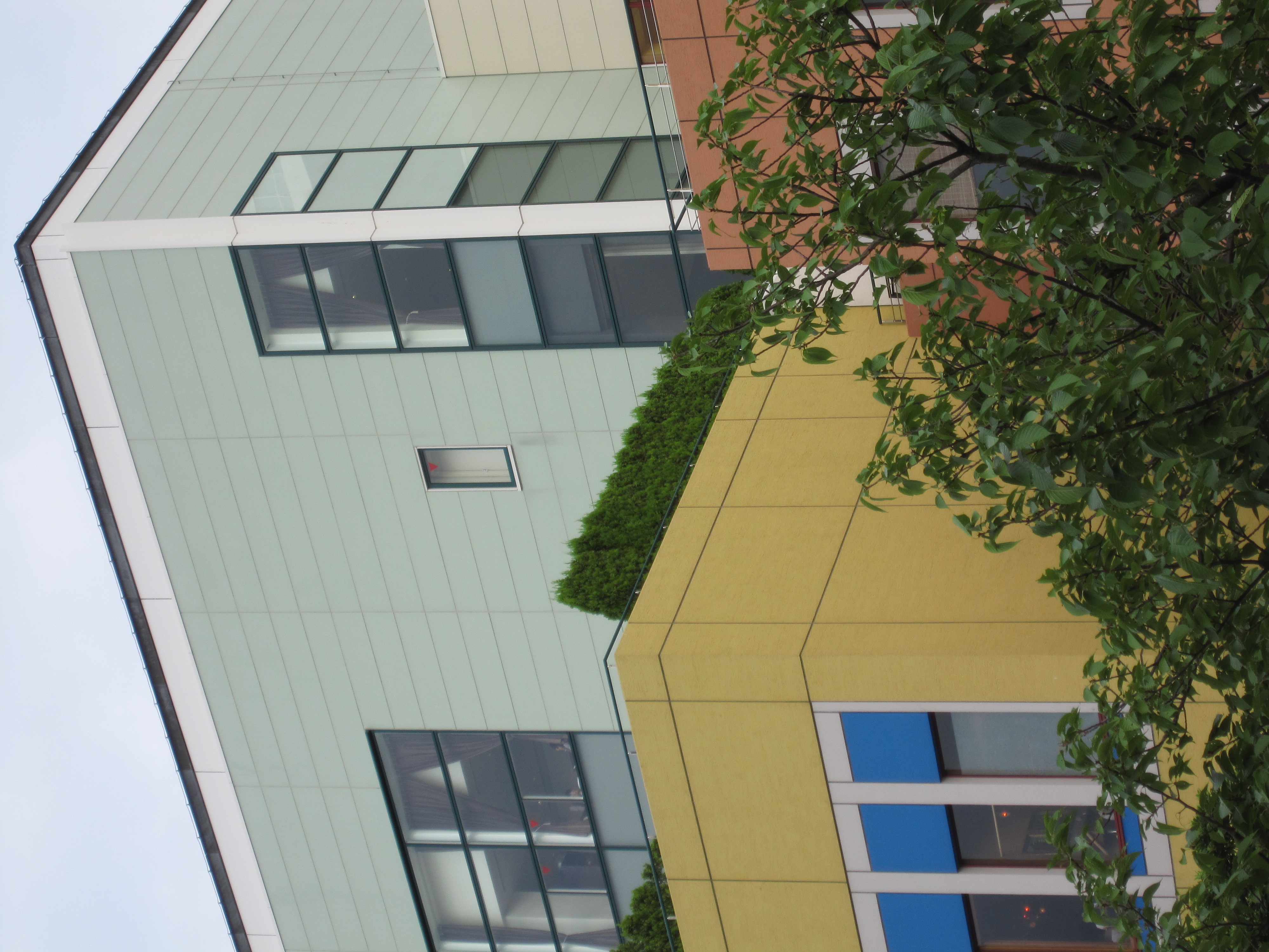 <b>あざやかグリーン</b>