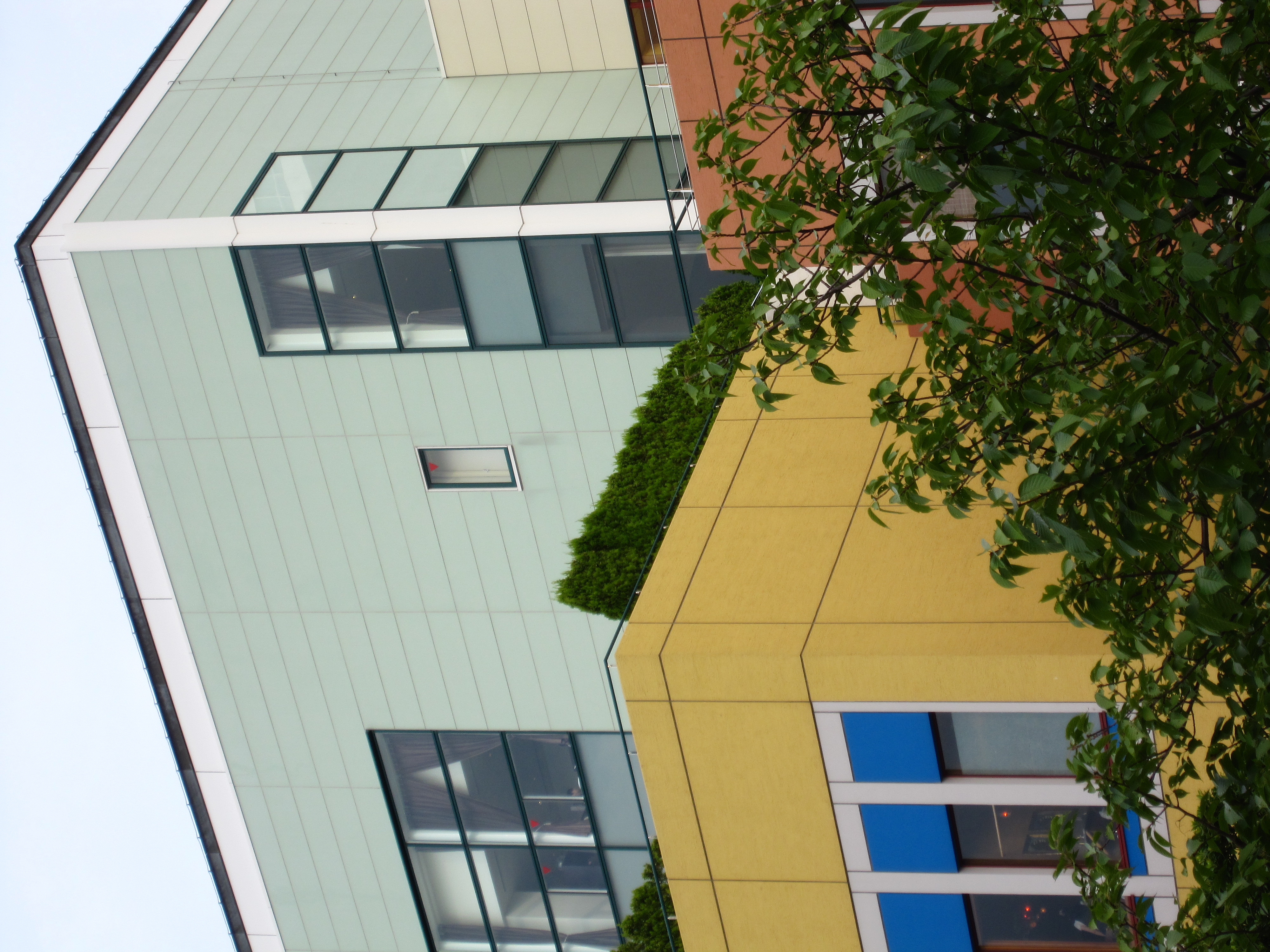 <b>カスタムカラー（コントラスト+2、シャープネス+2、色の濃さ+2）</b>