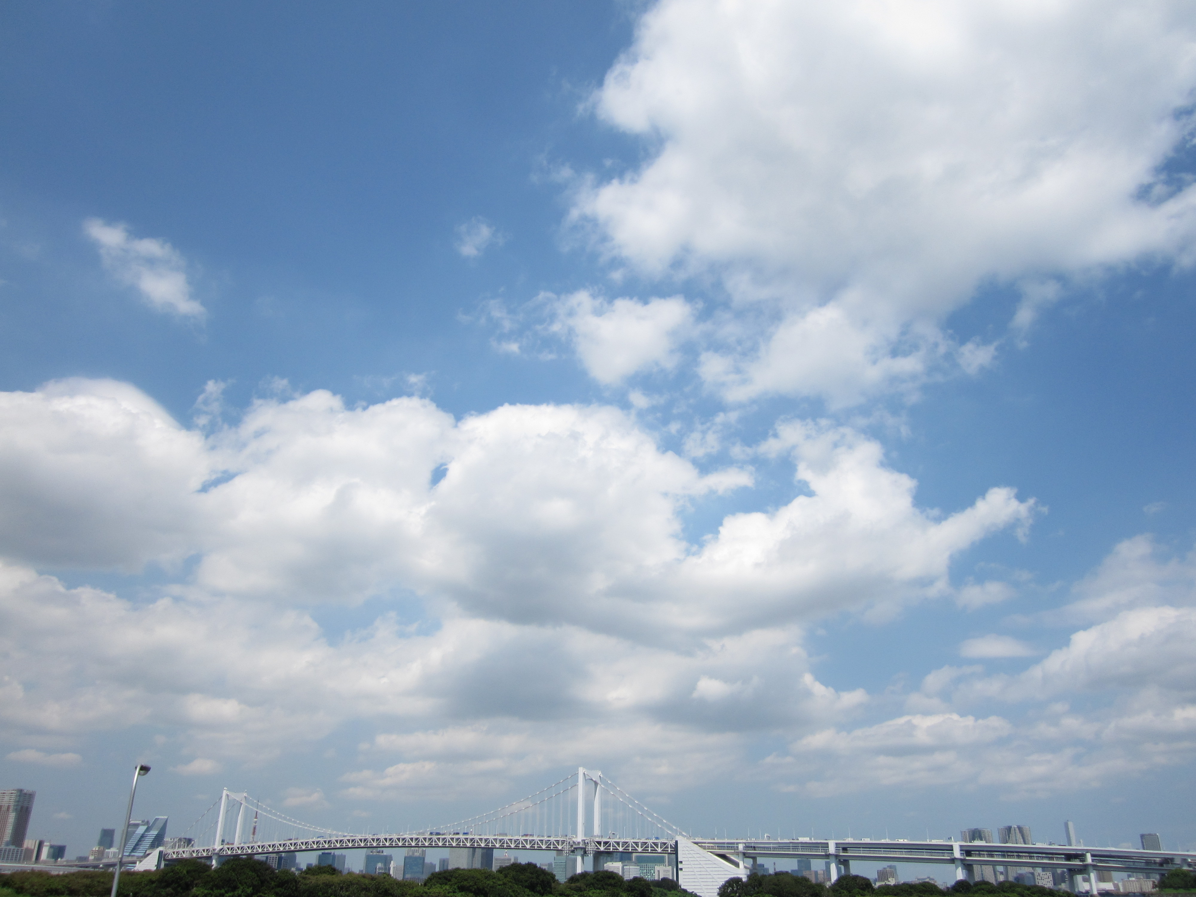 <b>IXY DIGITAL 220 IS / 4,000×3,000 / 1/250秒 / F8 / 0EV / ISO80 / プログラムAE / WB:オート / 5mm</b>