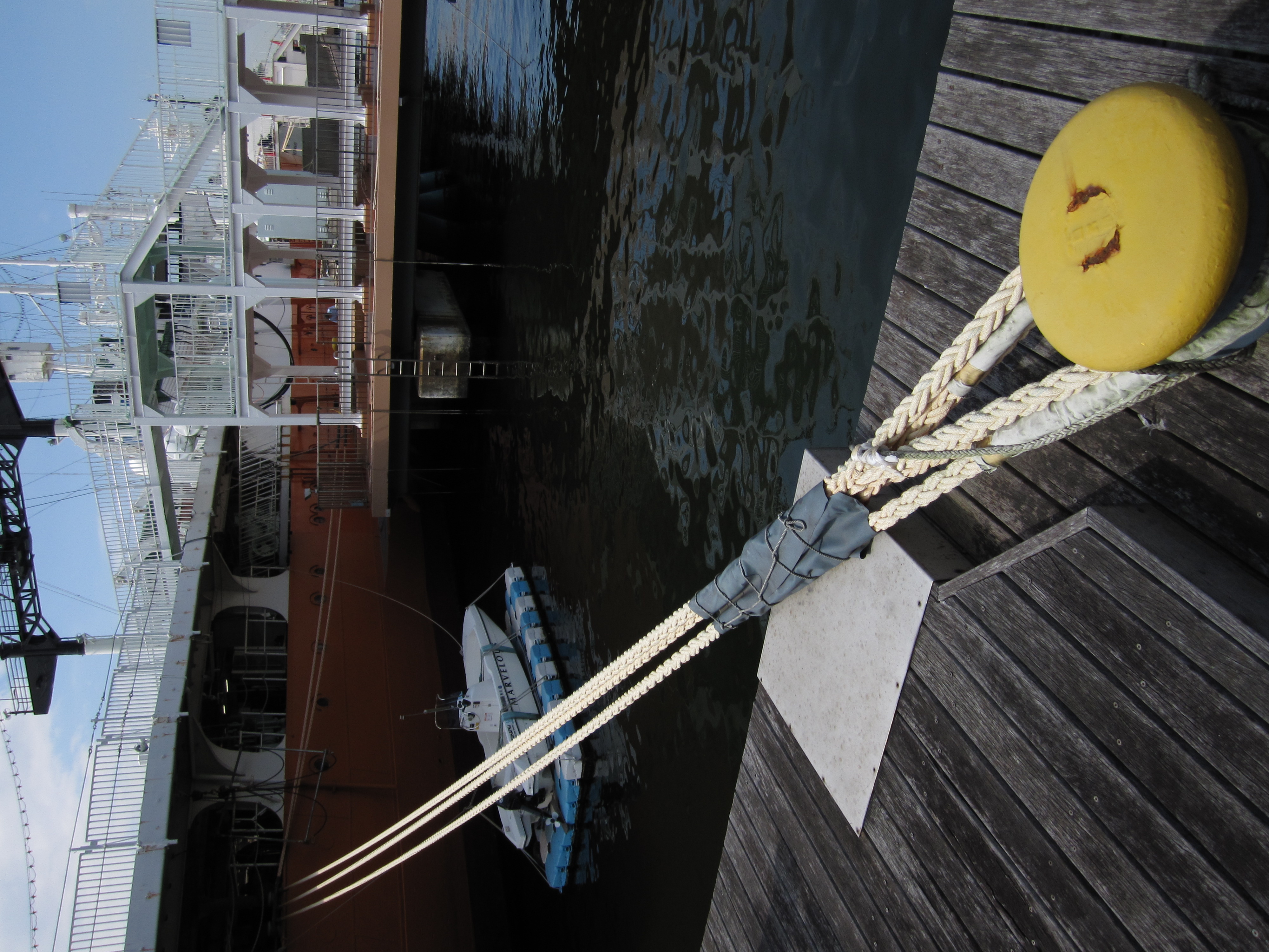 <b>IXY DIGITAL 220 IS / 3,000×4,000 / 1/200秒 / F8 / -0.7EV / ISO80 / プログラムAE / WB:オート / 5mm</b>