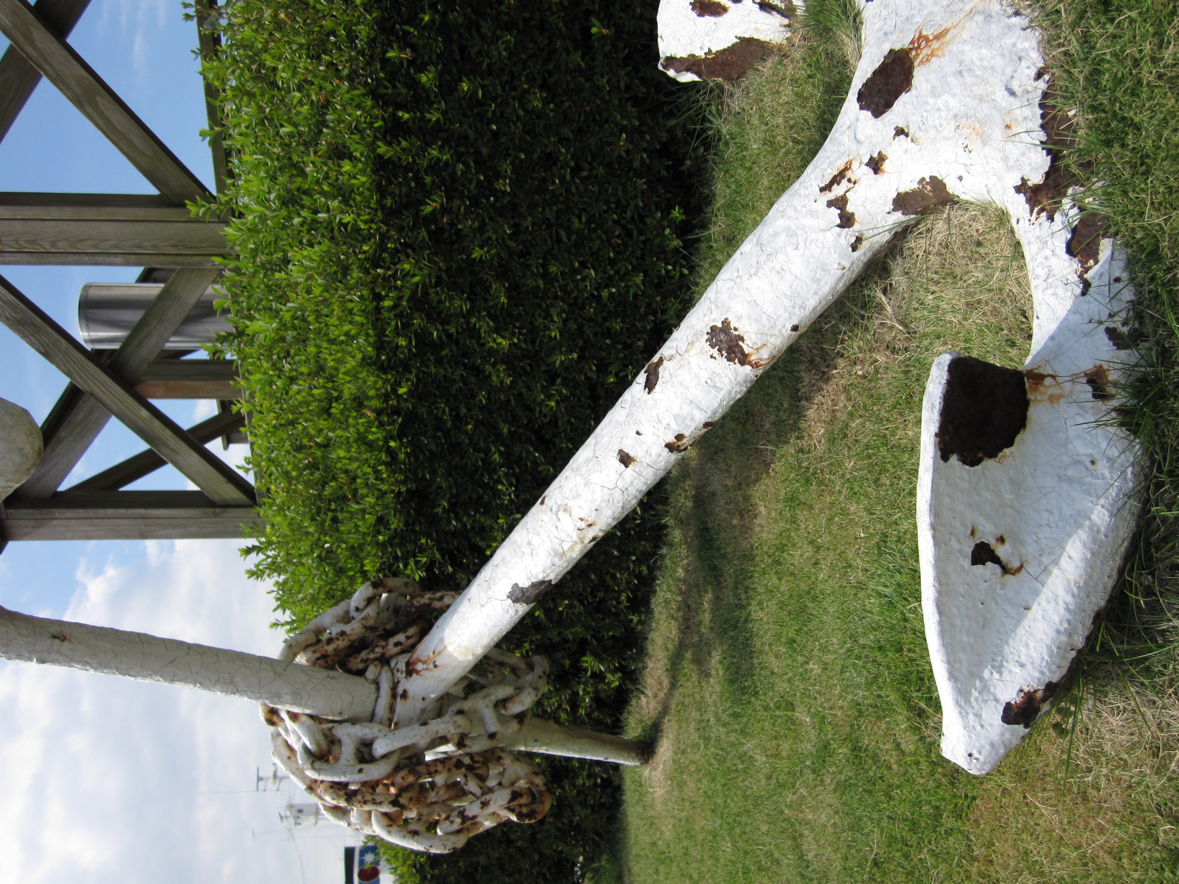 <b>IXY DIGITAL 220 IS / 3,000×4,000 / 1/160秒 / F8 / 0EV / ISO80 / プログラムAE / WB:オート / 5mm</b>