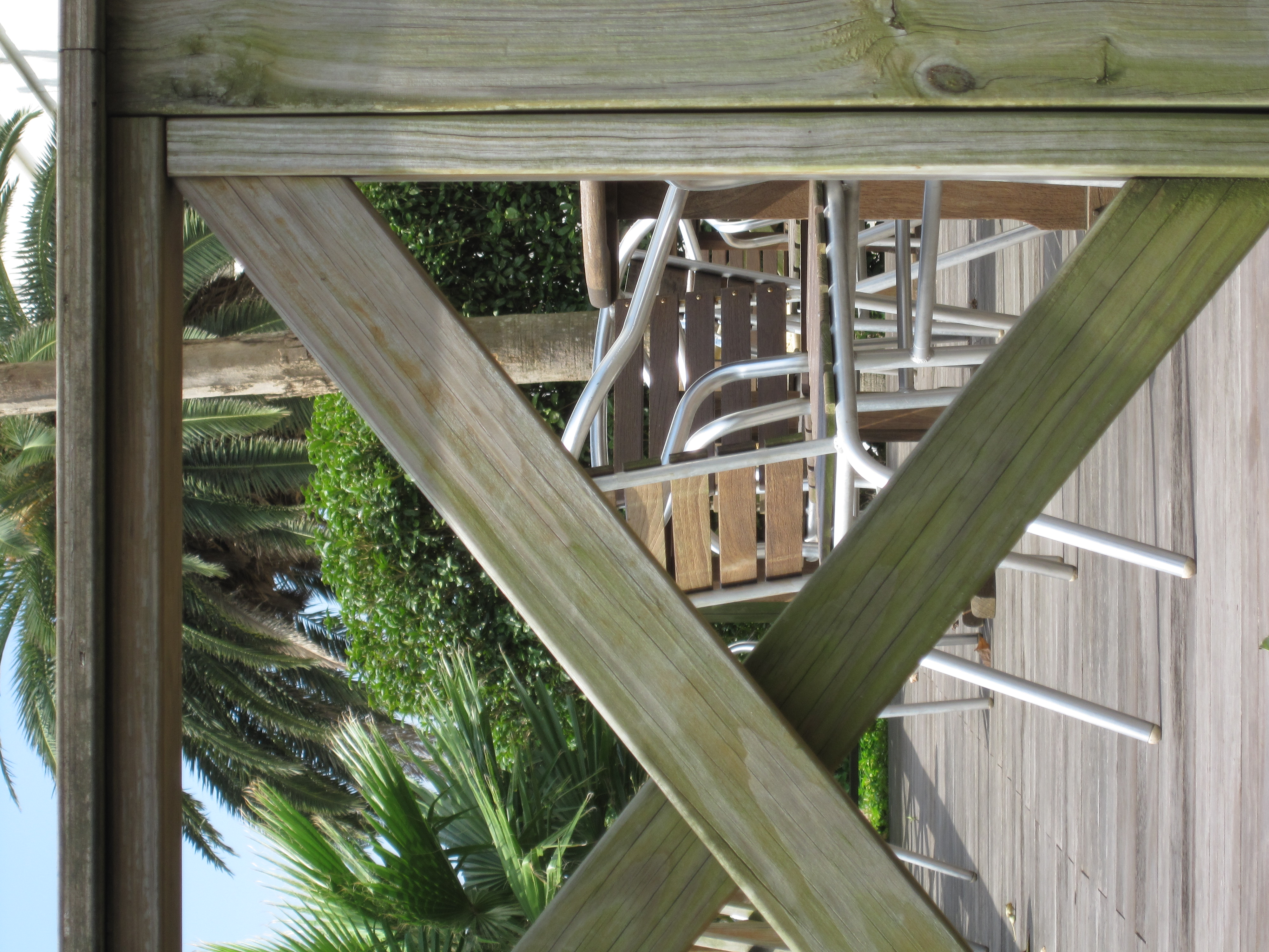 <b>IXY DIGITAL 220 IS / 3,000×4,000 / 1/160秒 / F5.9 / 0EV / ISO80 / プログラムAE / WB:オート / 20mm</b>