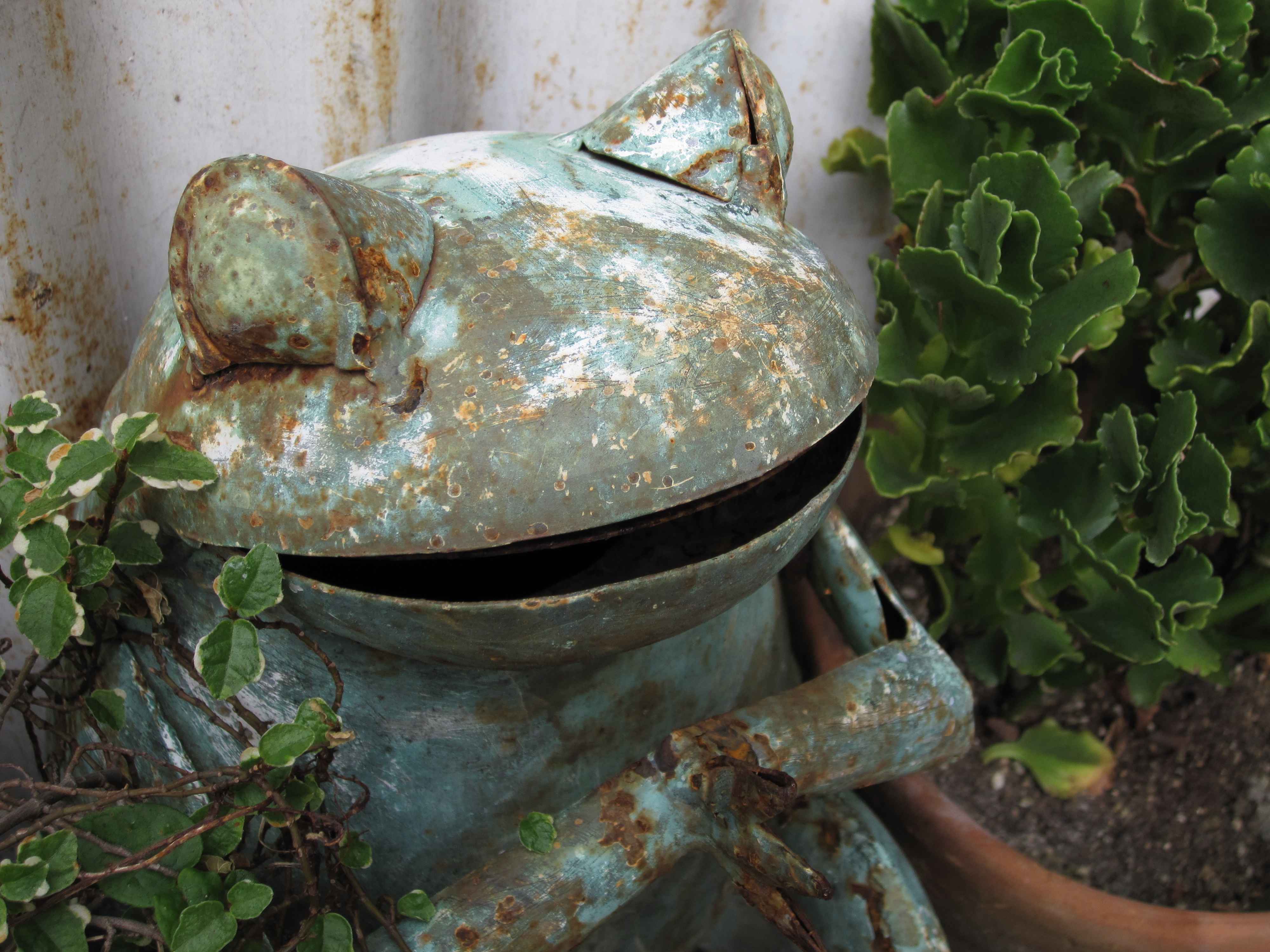 <b>IXY DIGITAL 220 IS / 4,000×3,000 / 1/100秒 / F3.5 / 0EV / ISO80 / プログラムAE / WB:オート / 8mm</b>