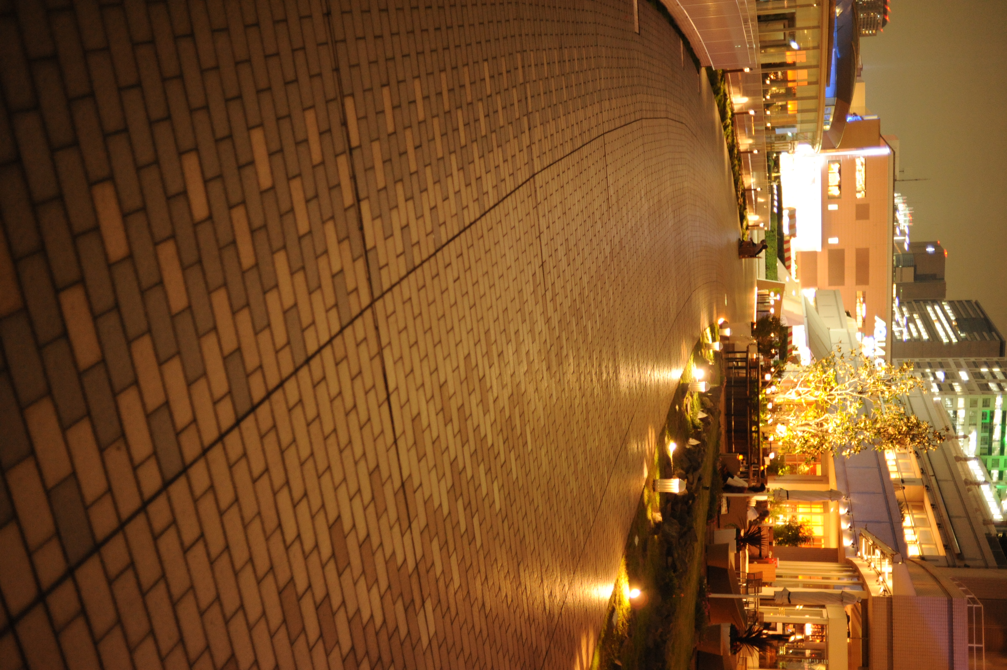 <b>今回の撮影でもっとも感度が上がったカットがこれ。にしても、ISO3200でこのノイズの少なさ。やっぱりフルサイズはすごい<br>D700 / Ai AF Nikkor 35mm F2 D / 4,256×2,832 / 1/15秒 / F2 / +1.3EV / ISO3200 / WB:晴天</b>