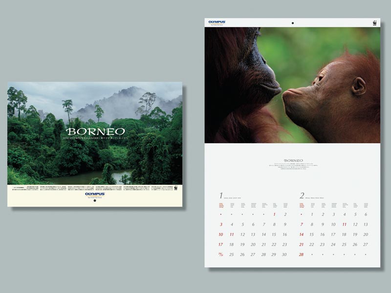 <b>2010年オリンパス/WWFカレンダー「BORNEO/森だけが知っている いのち」</b>