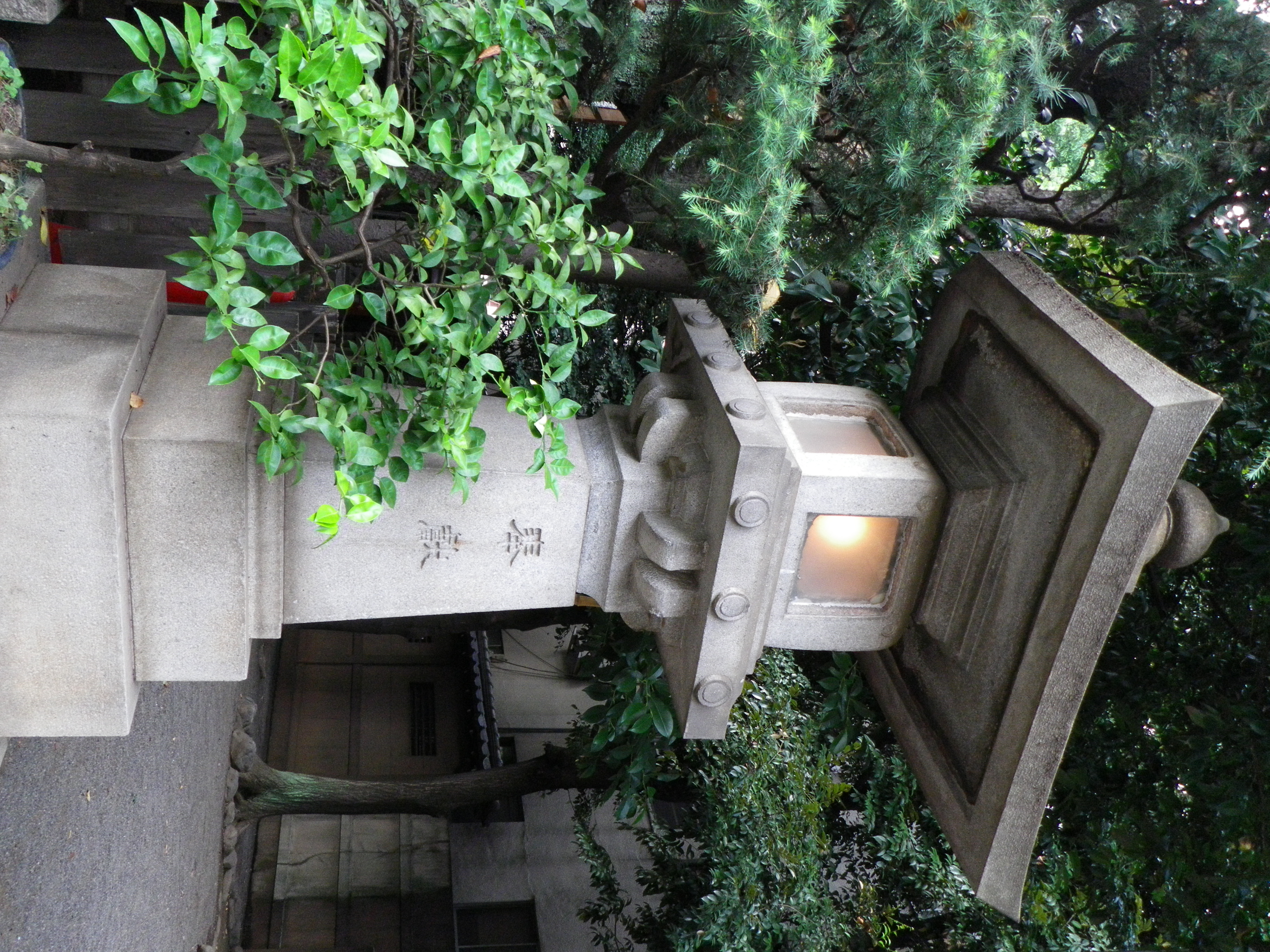 <b>ISO200<br>Optio WS80 / 3,648×2,736 / 1/20秒 / F3.8 / 0EV / ISO200 / プログラムAE / WB:オート / 6.2mm</b>