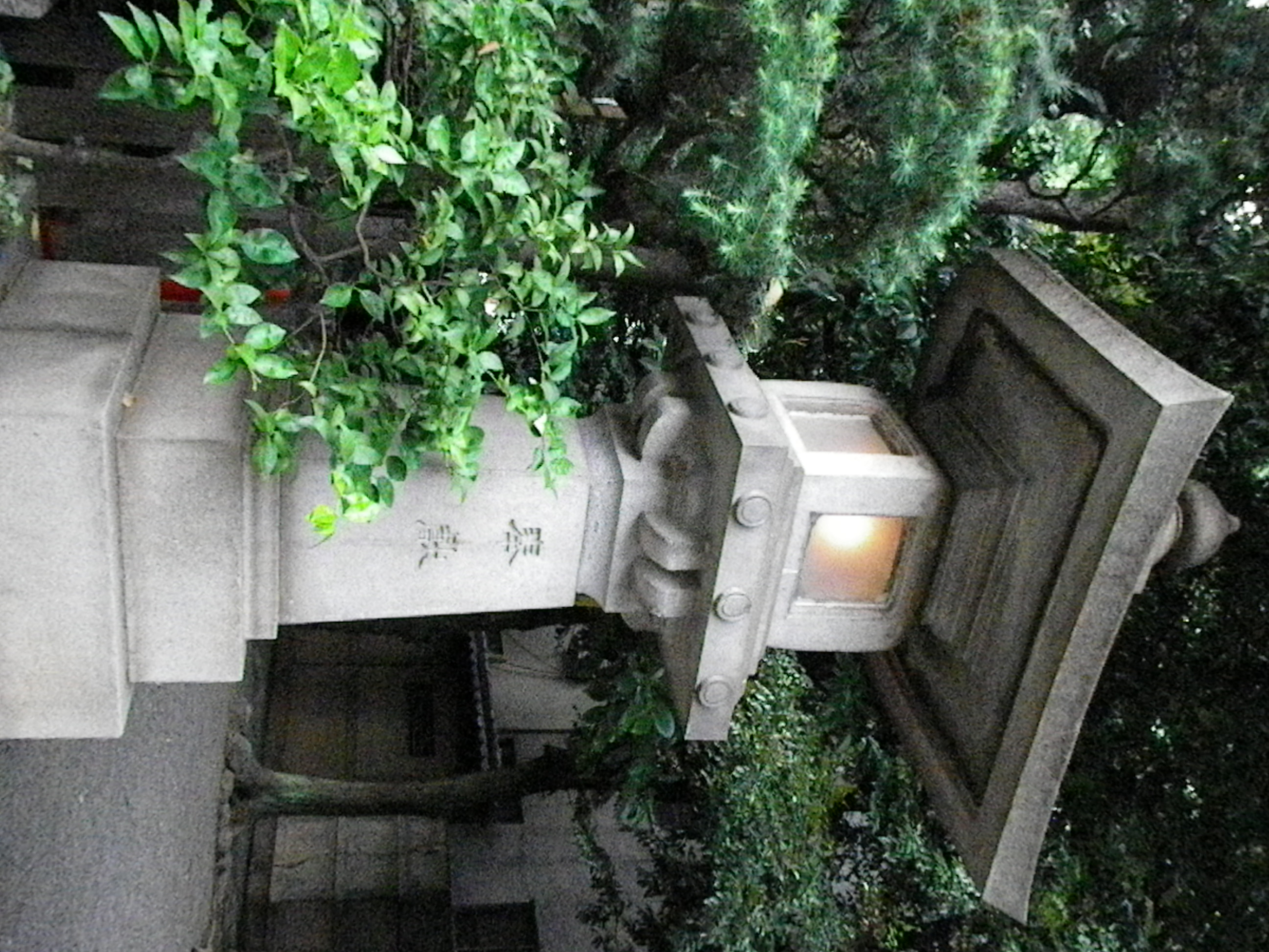 <b>ISO3200<br>Optio WS80 / 2,592×1,944 / 1/320秒 / F3.8 / 0EV / ISO3200 / プログラムAE / WB:オート / 6.2mm</b>