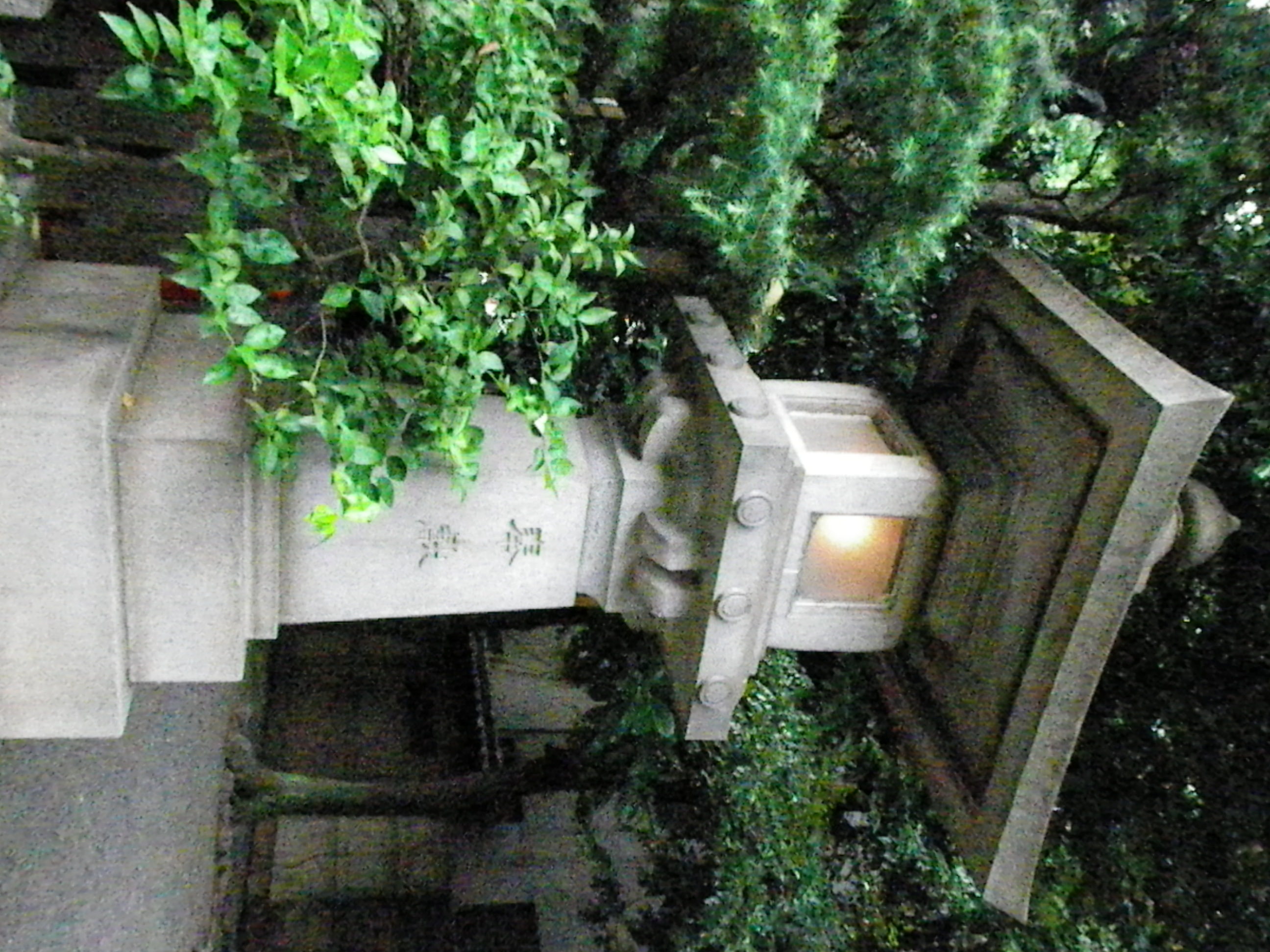 <b>ISO6400<br>Optio WS80 / 2,592×1,944 / 1/200秒 / F6.3 / 0EV / ISO6400 / プログラムAE / WB:オート / 6.2mm</b>