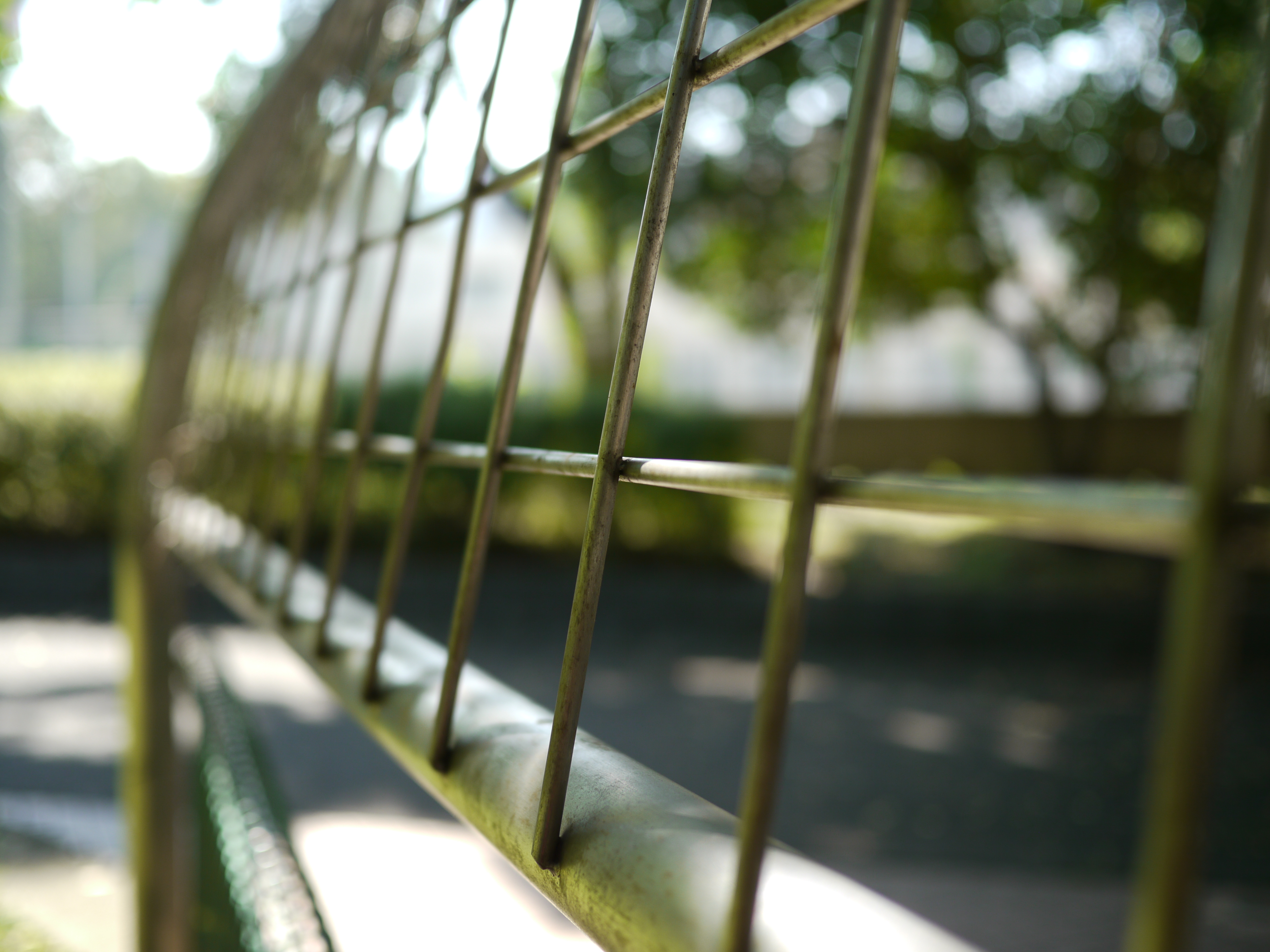 <b>F1.7<br>DMC-GH1 / LUMIX G 20mm F1.7 ASPH. / 約4.2MB / 4,000×3,000 / 1/640秒 / +0.3EV / ISO100 / WB:オート / 20mm</b>