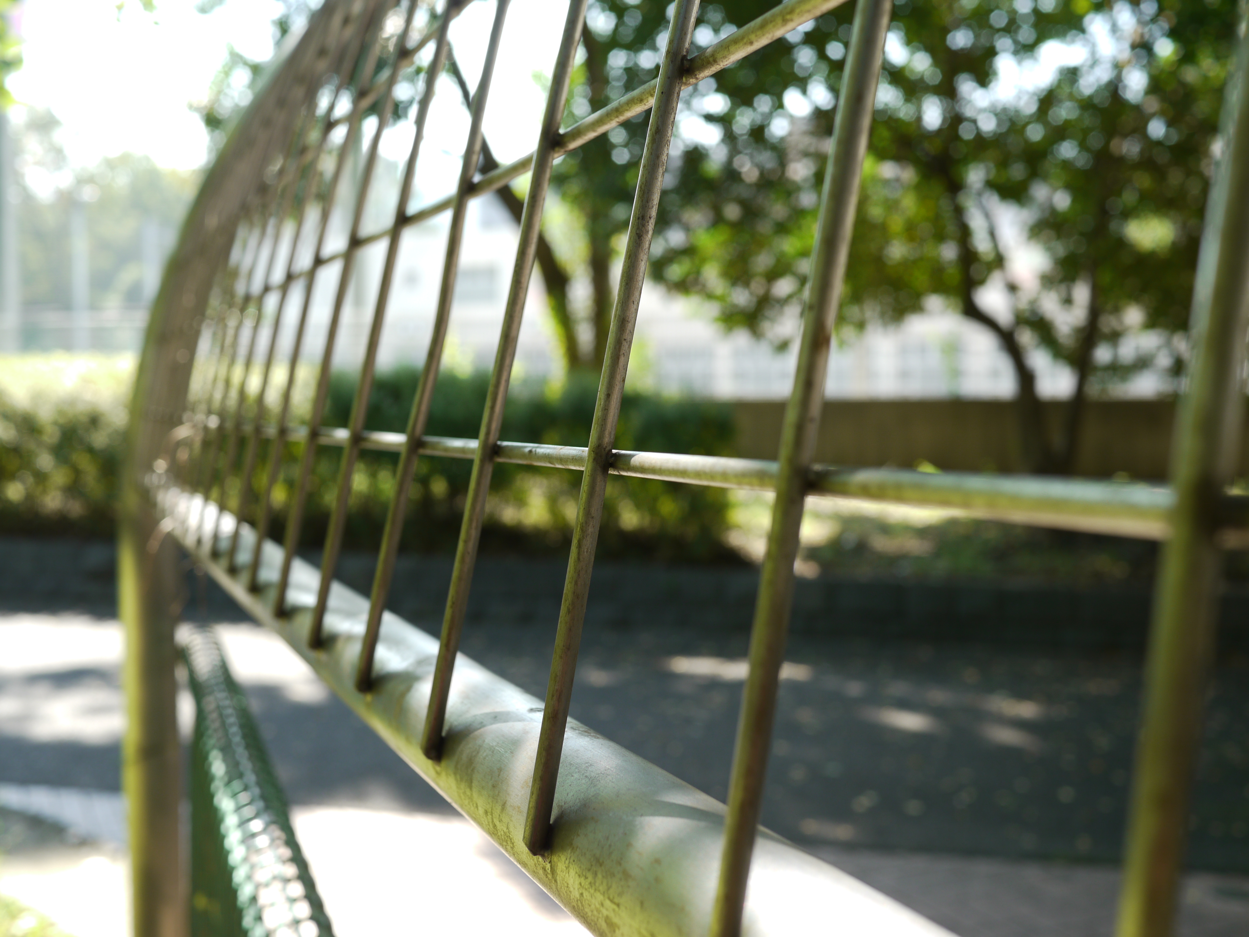 <b>F4<br>DMC-GH1 / LUMIX G 20mm F1.7 ASPH. / 約4.5MB / 4,000×3,000 / 1/125秒 / +0.3EV / ISO100 / WB:オート / 20mm</b>