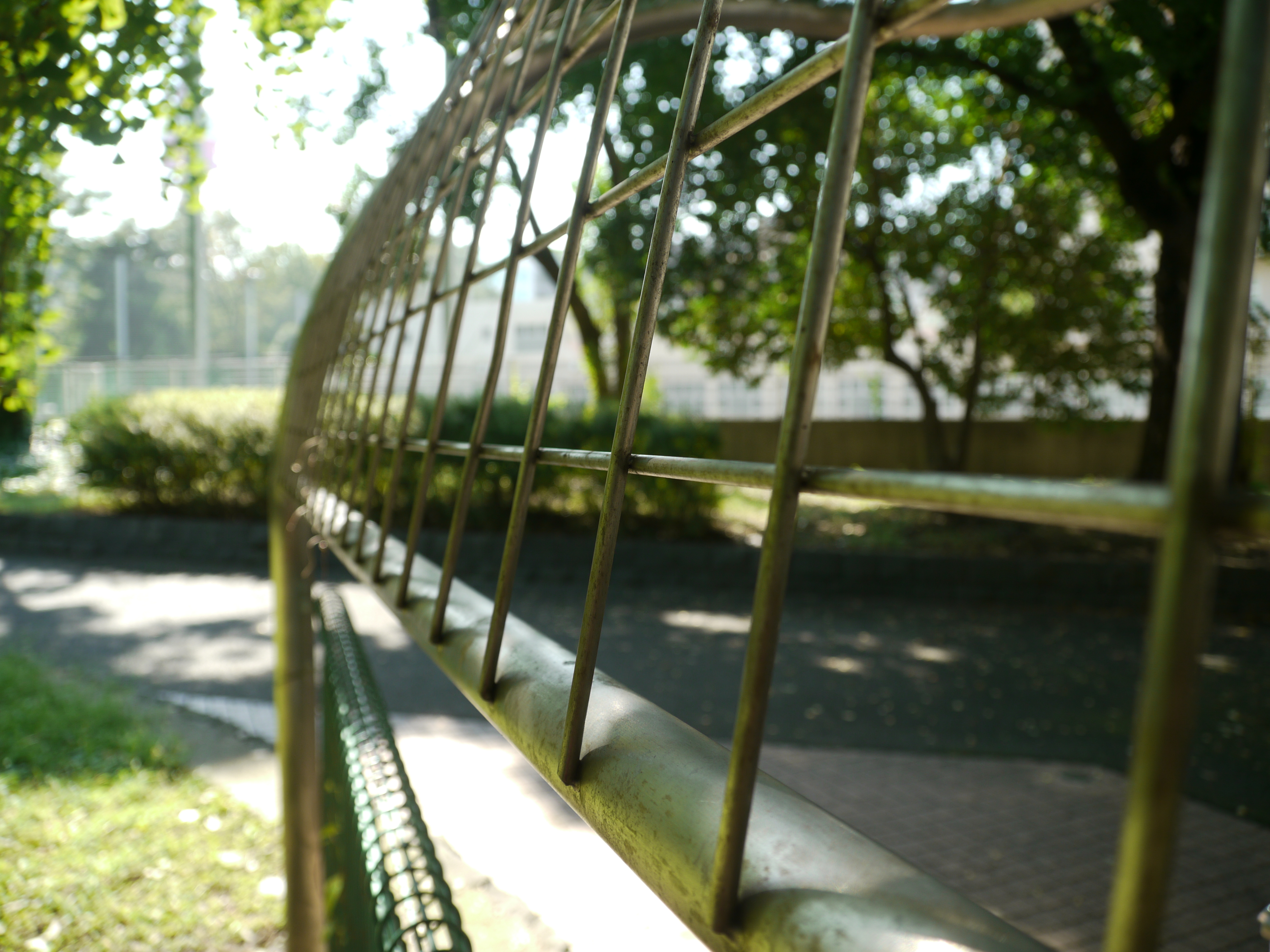 <b>F4<br>DMC-GH1 / LUMIX G VARIO HD 14-140mm F4-5.8 ASPH. MEGA O.I.S. / 約4.8MB / 4,000×3,000 / 1/160秒 / +0.3EV / ISO100 / WB:オート / 14mm</b>