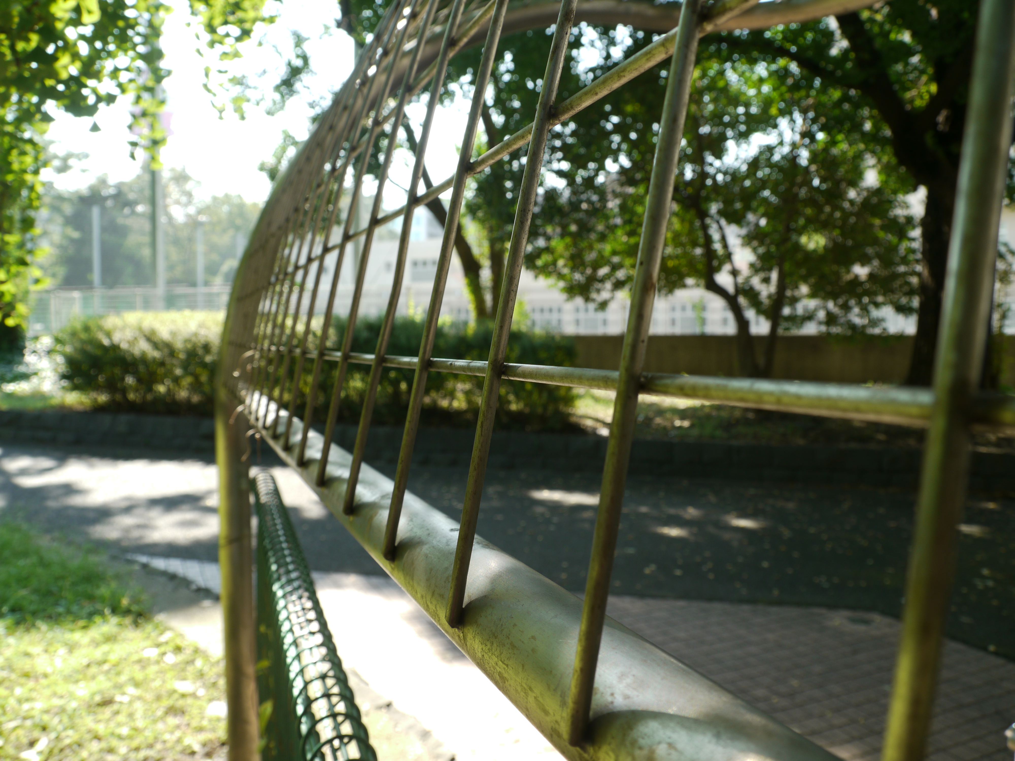 <b>F5.6<br>DMC-GH1 / LUMIX G VARIO HD 14-140mm F4-5.8 ASPH. MEGA O.I.S. / 約5.1MB / 4,000×3,000 / 1/80秒 / +0.3EV / ISO100 / WB:オート / 14mm</b>