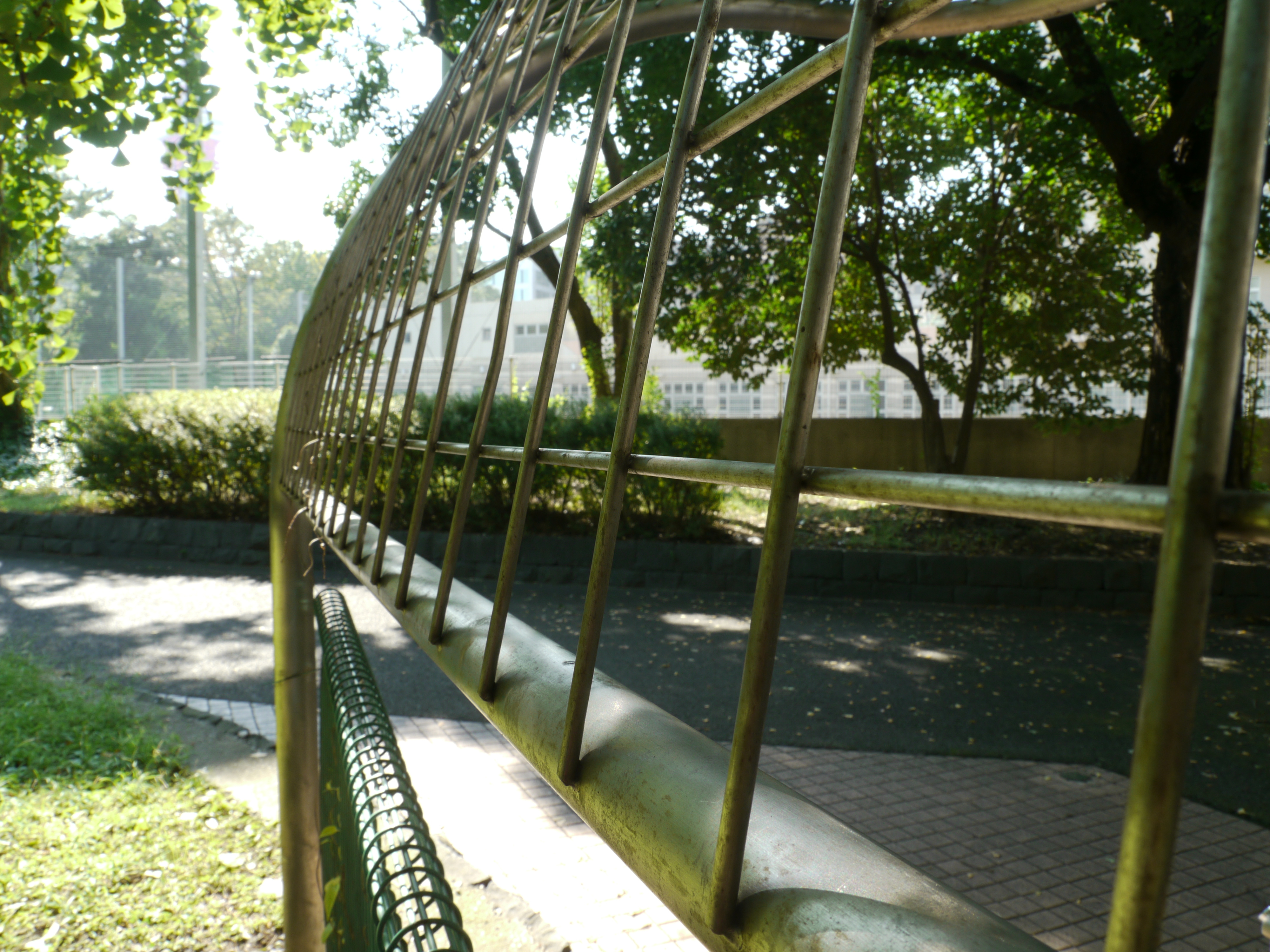 <b>F11<br>DMC-GH1 / LUMIX G VARIO HD 14-140mm F4-5.8 ASPH. MEGA O.I.S. / 約6.0MB / 4,000×3,000 / 1/30秒 / +0.3EV / ISO160 / WB:オート / 14mm</b>