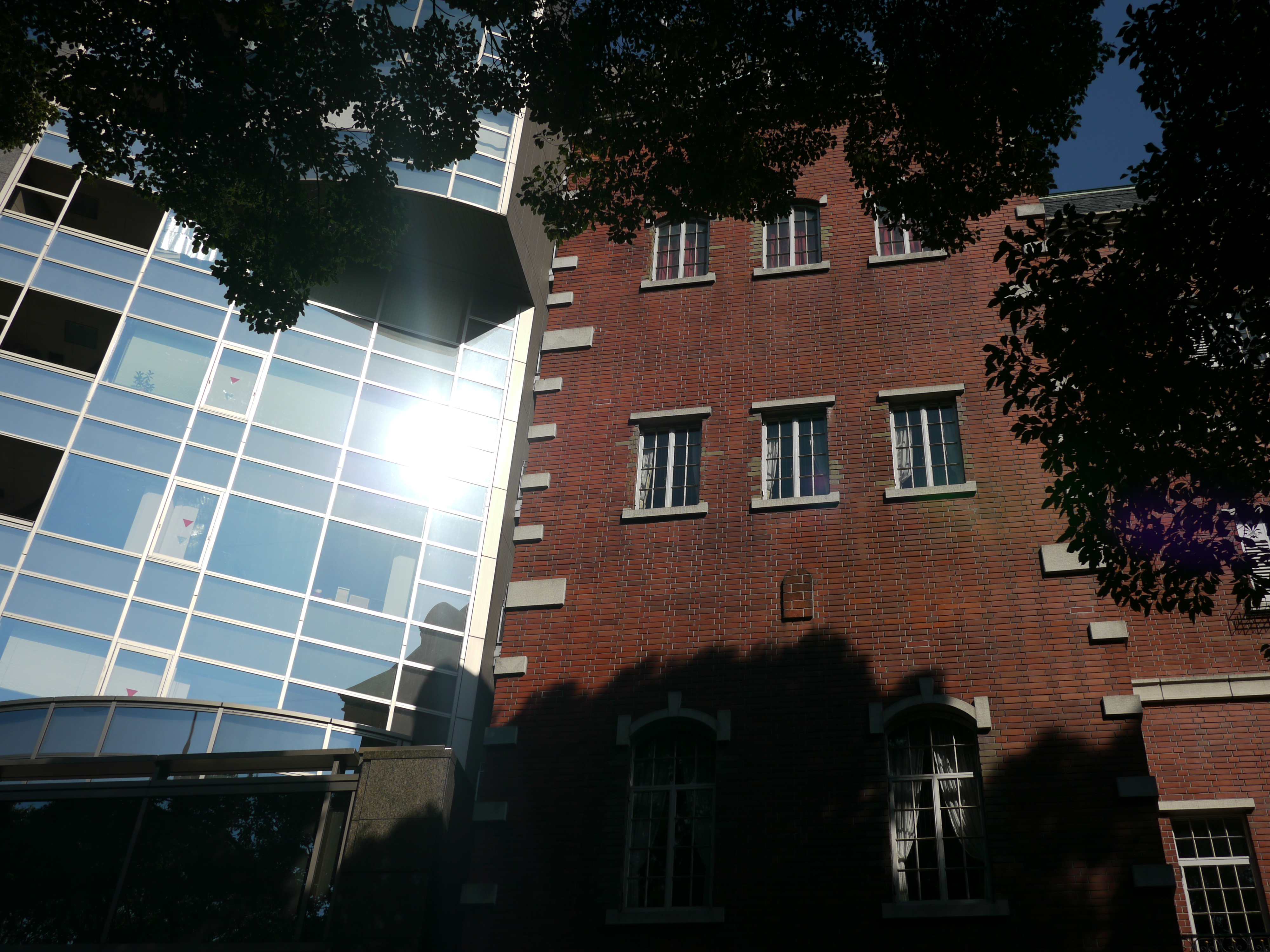 <b>F4<br>DMC-GH1 / LUMIX G 20mm F1.7 ASPH. / 約6.3MB / 4,000×3,000 / 1/3,200秒 / 0EV / ISO100 / WB:オート / 20mm</b>