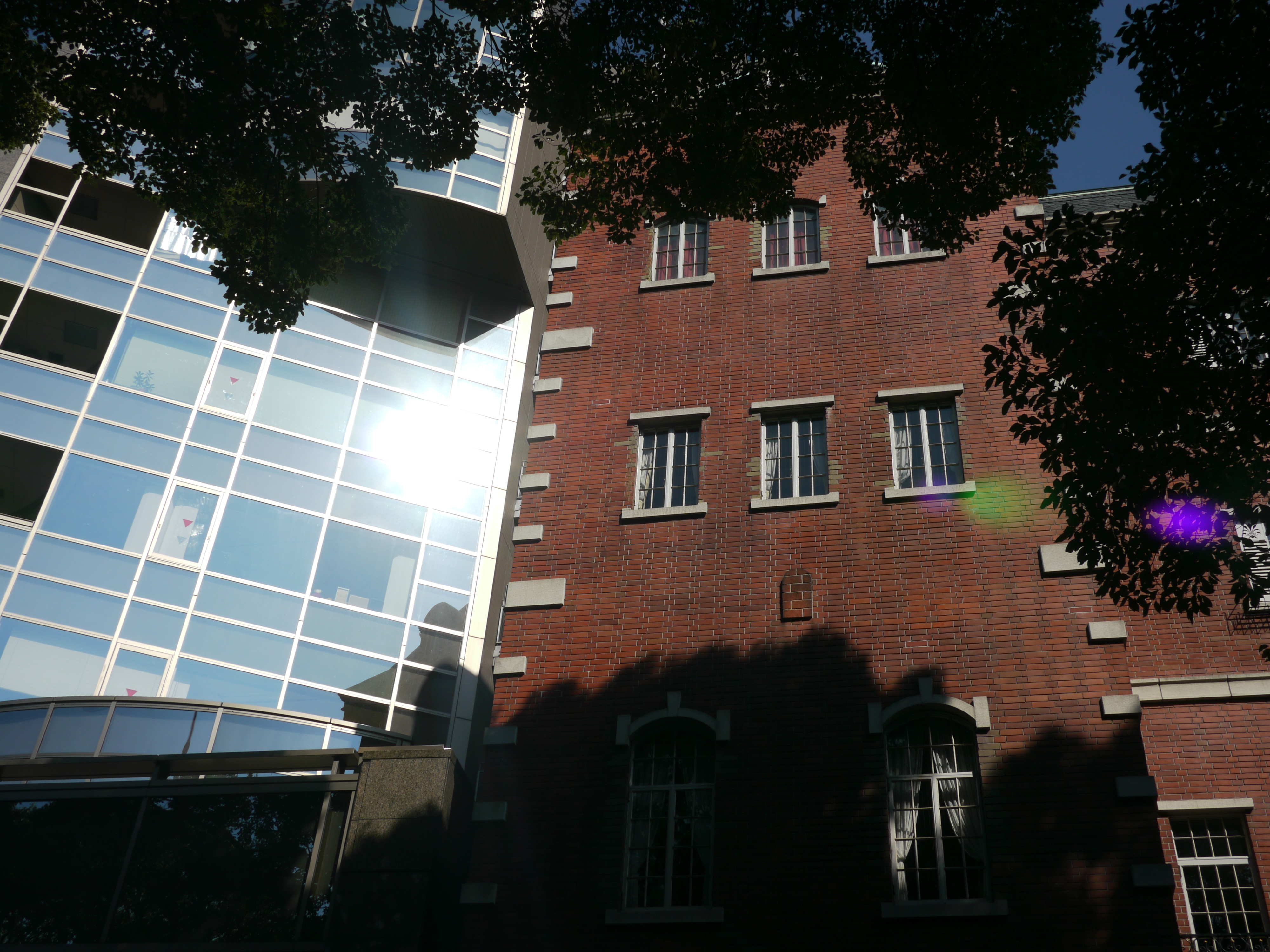 <b>F11<br>DMC-GH1 / LUMIX G 20mm F1.7 ASPH. / 約6.1MB / 4,000×3,000 / 1/400秒 / 0EV / ISO100 / WB:オート / 20mm</b>