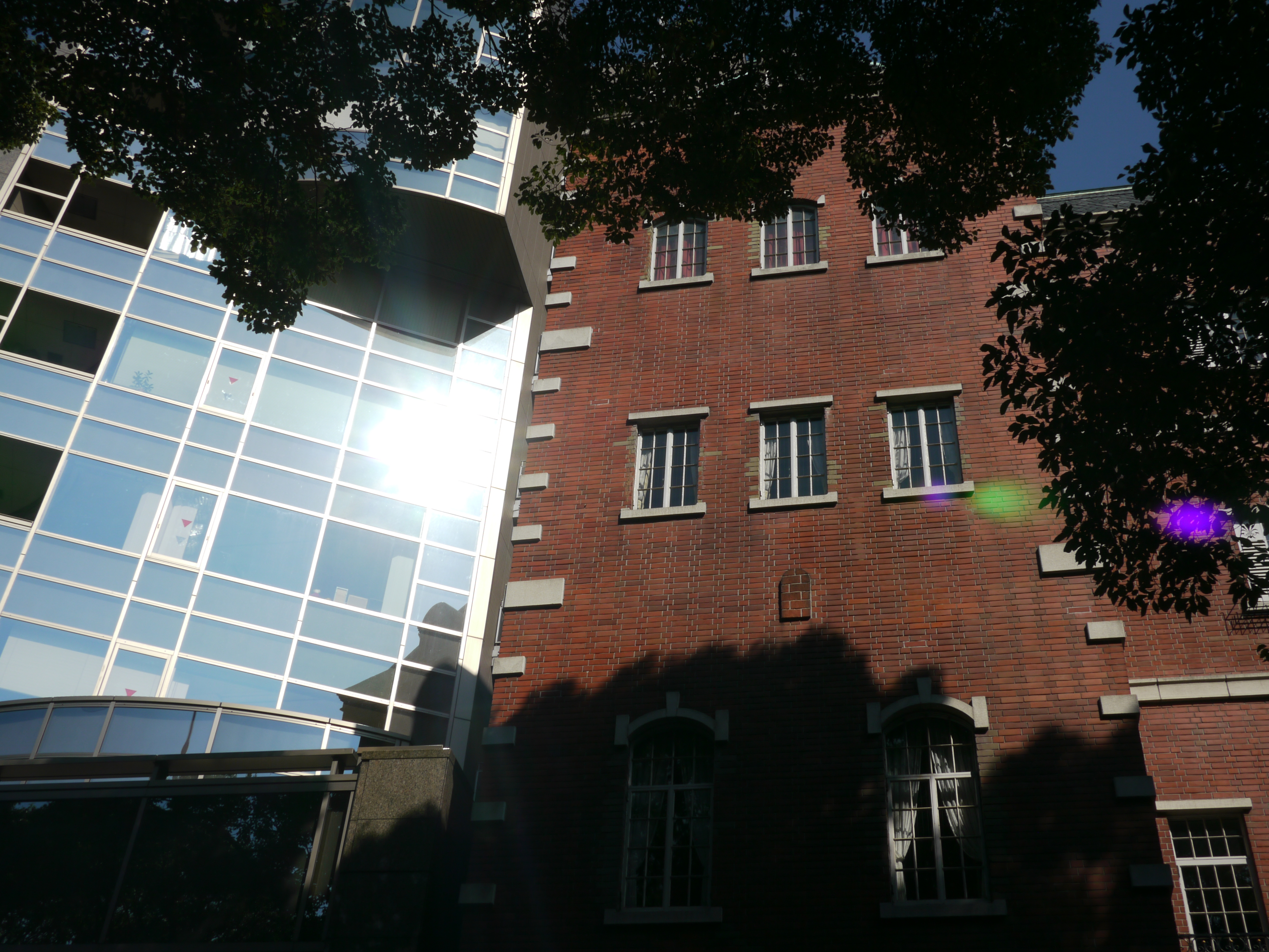 <b>F16<br>DMC-GH1 / LUMIX G 20mm F1.7 ASPH. / 約5.8MB / 4,000×3,000 / 1/200秒 / 0EV / ISO100 / WB:オート / 20mm</b>