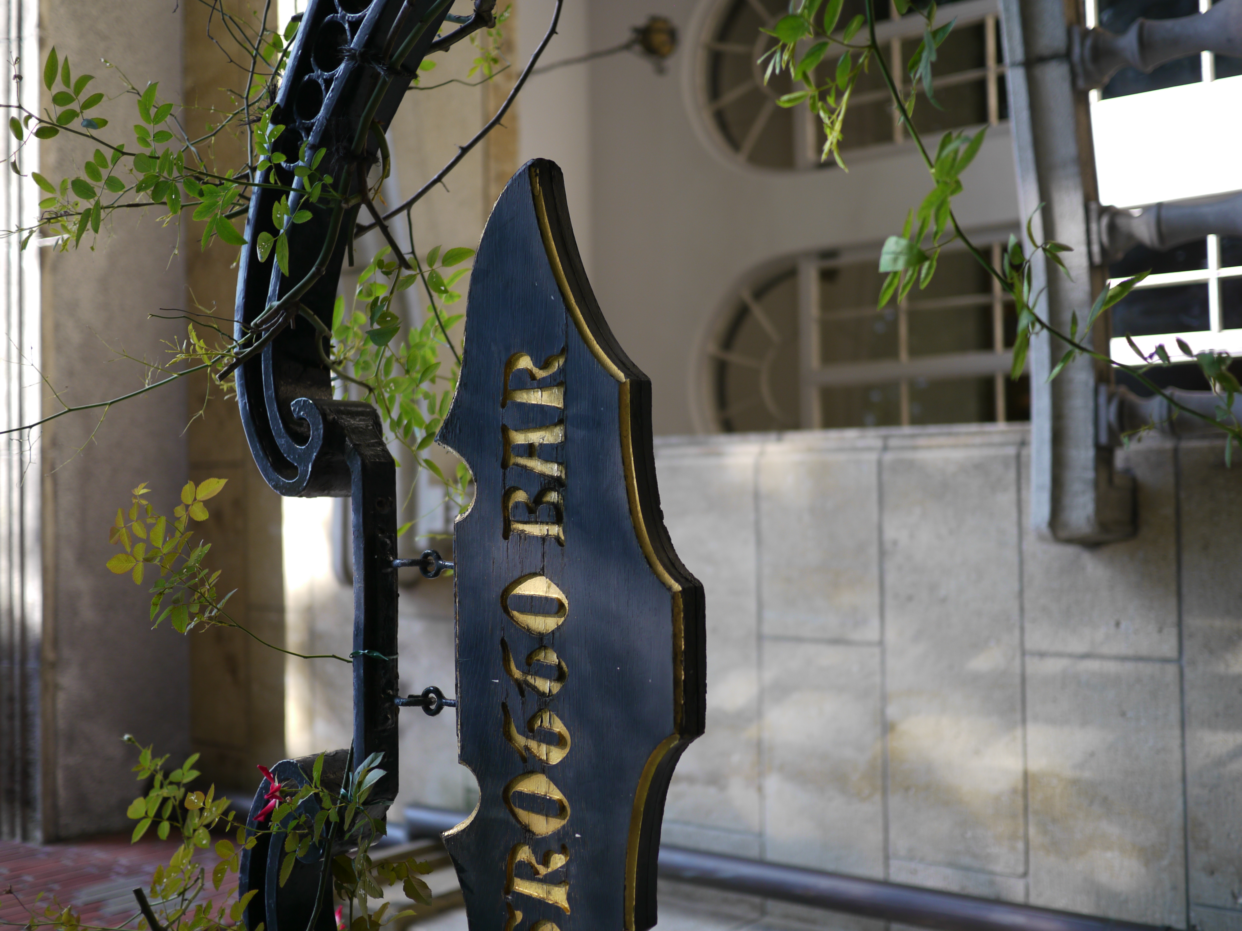 <b>DMC-GH1 / LUMIX G 20mm F1.7 ASPH. / 約5.2MB / 4,000×3,000 / 1/500秒 / F1.7 / 0EV / ISO100 / WB:オート / 20mm</b>