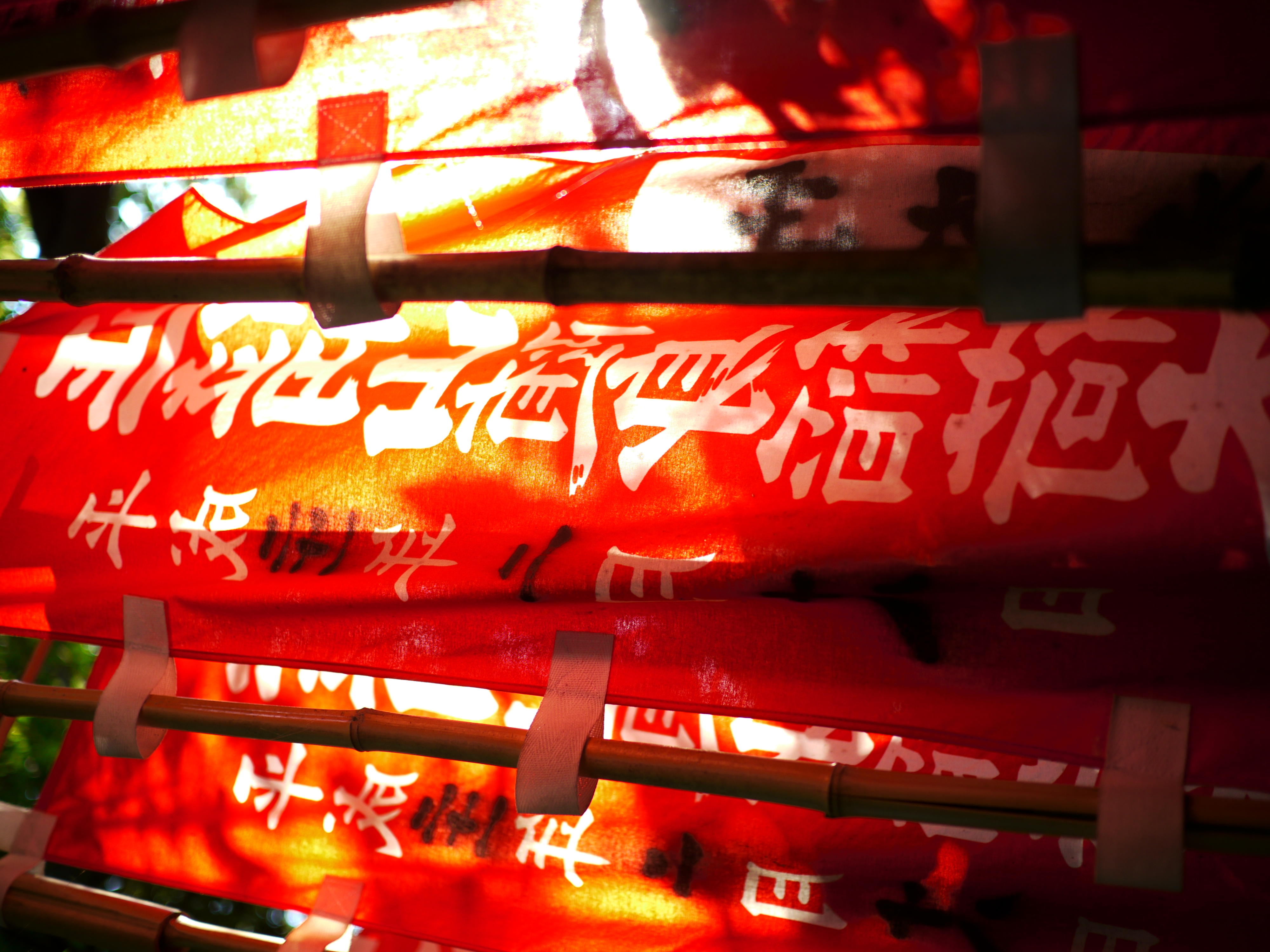 <b>DMC-GH1 / LUMIX G 20mm F1.7 ASPH. / 約5.2MB / 4,000×3,000 / 1/160秒 / F1.7 / +2.0EV / ISO100 / WB:晴天 / 20mm</b>