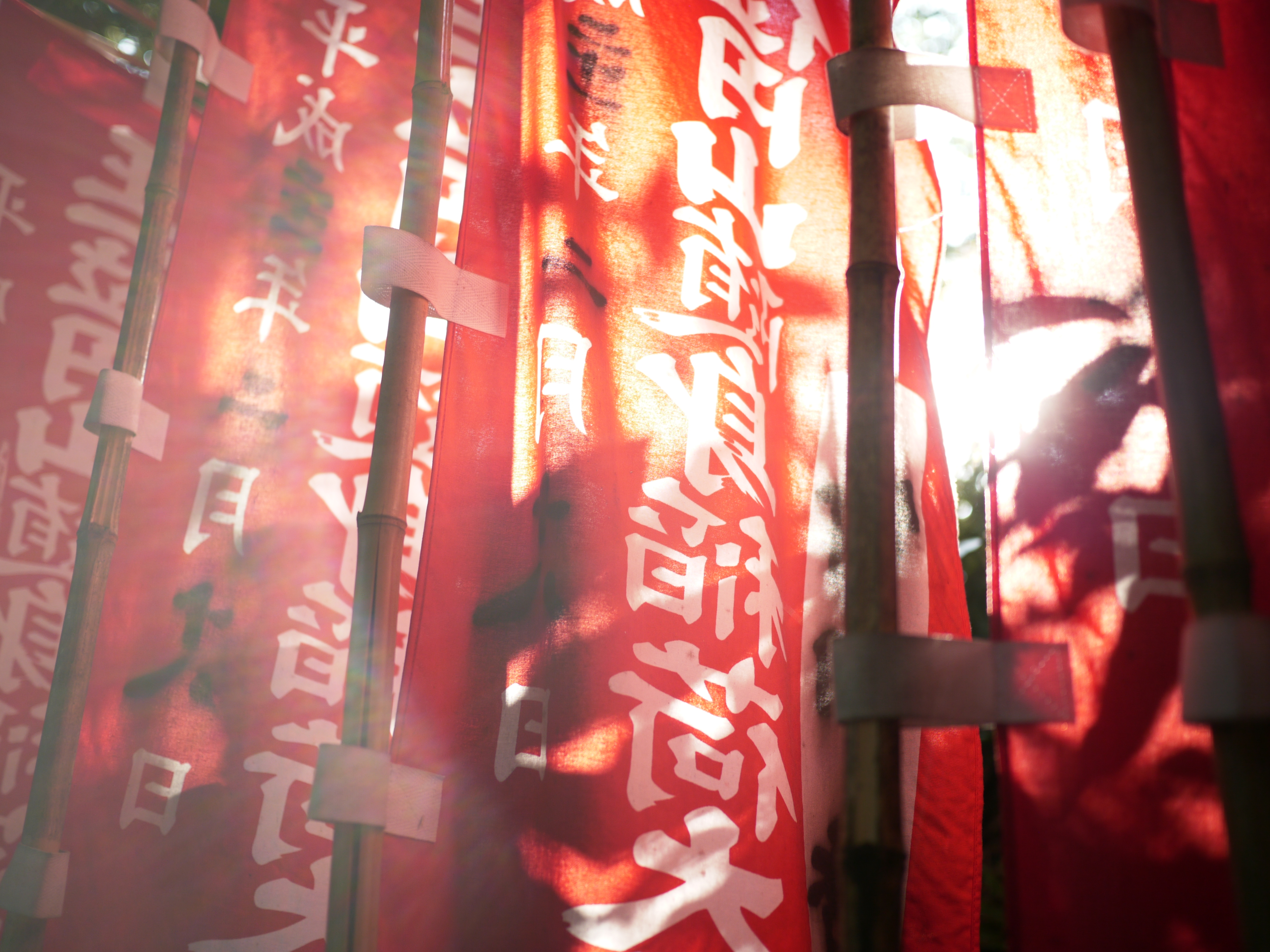 <b>DMC-GH1 / LUMIX G 20mm F1.7 ASPH. / 約5.2MB / 4,000×3,000 / 1/200秒 / F1.7 / +2.0EV / ISO100 / WB:晴天 / 20mm</b>