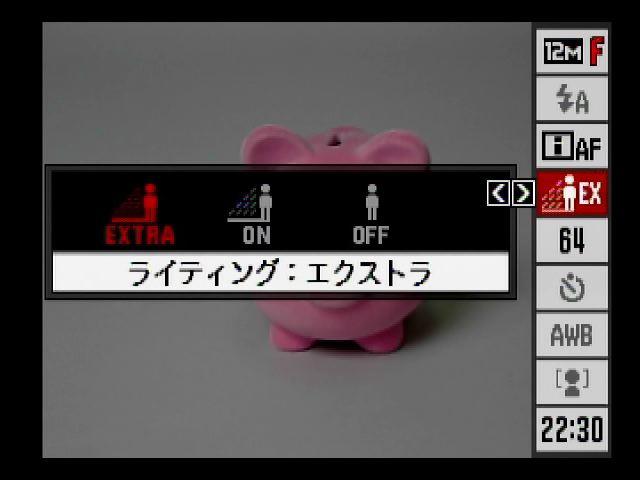 <STRONG>明暗差のバランスを最適に設定できる「ライティング」機能も搭載</STRONG>