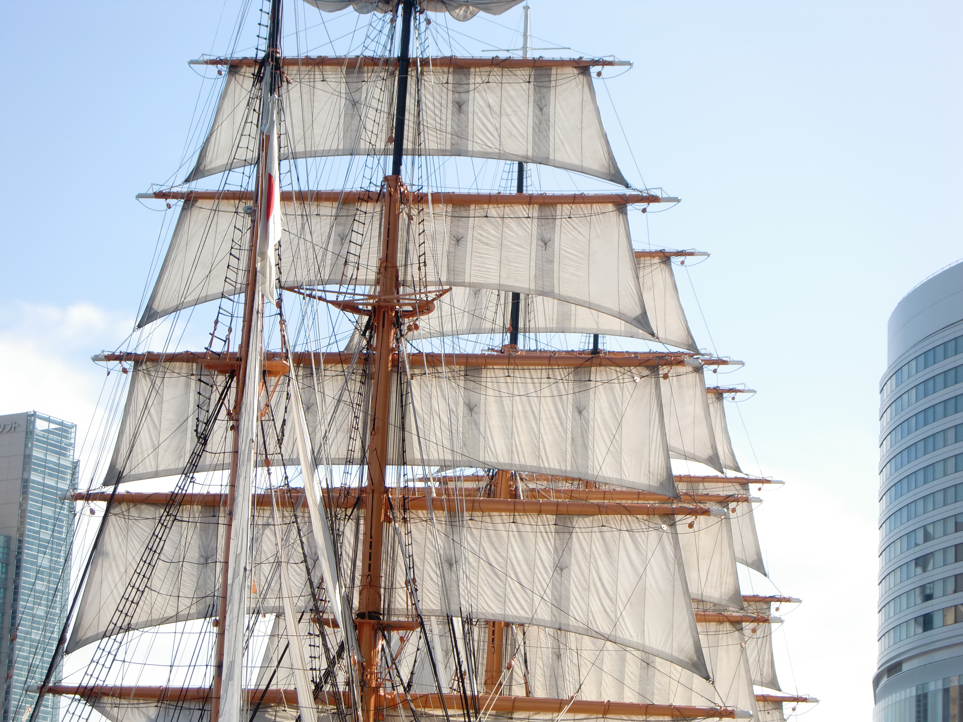 <STRONG>EX-Z450 / 4,000×3,000 / 1/250秒 / F5.2 / +1EV / ISO64 / プログラム / WB:オート / 16.5mm</STRONG>