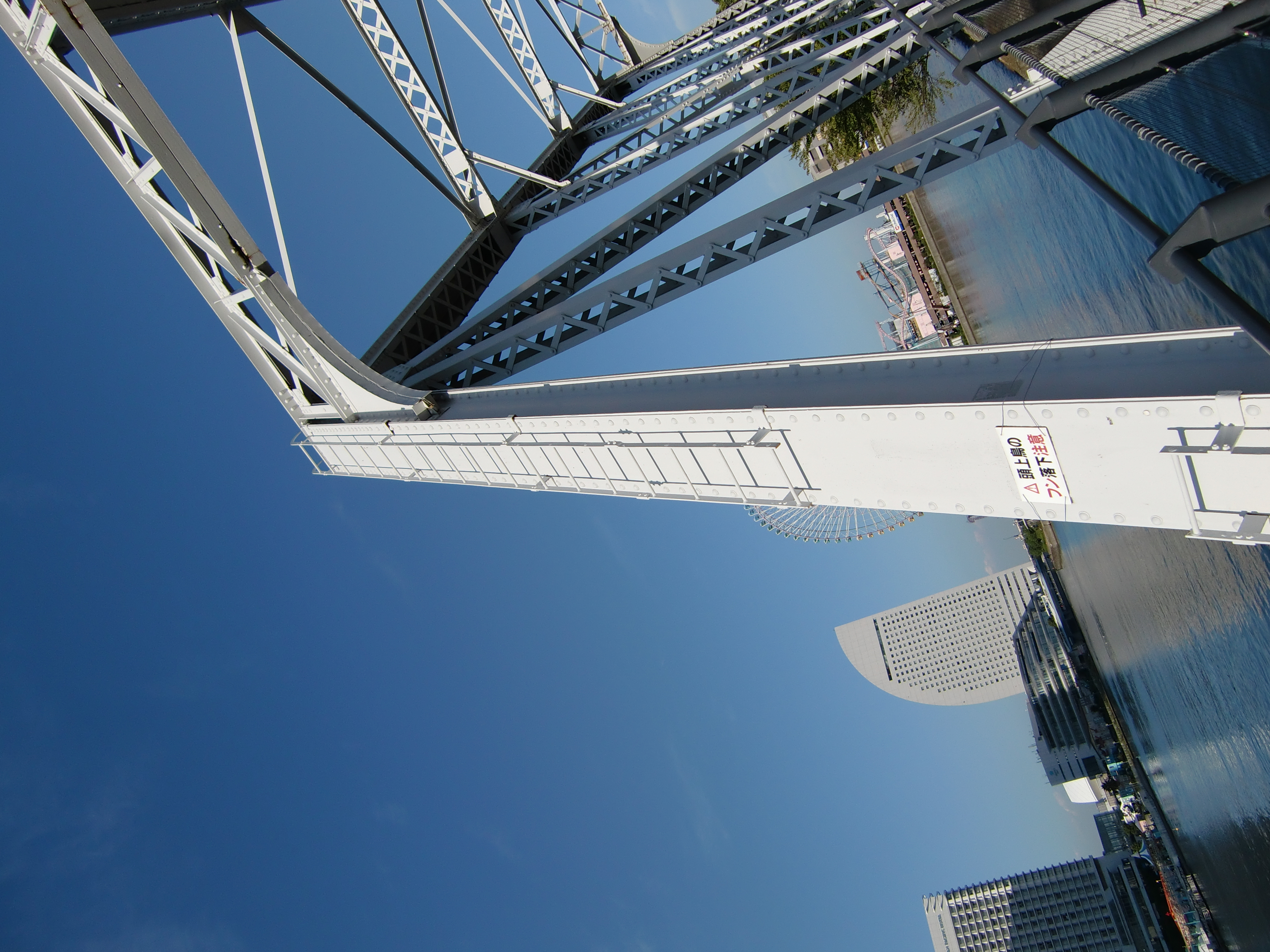 <STRONG>EX-Z450 / 4,000×3,000 / 1/400秒 / F7 / 0EV / ISO64 / プログラム / WB:オート / 4.9mm</STRONG>