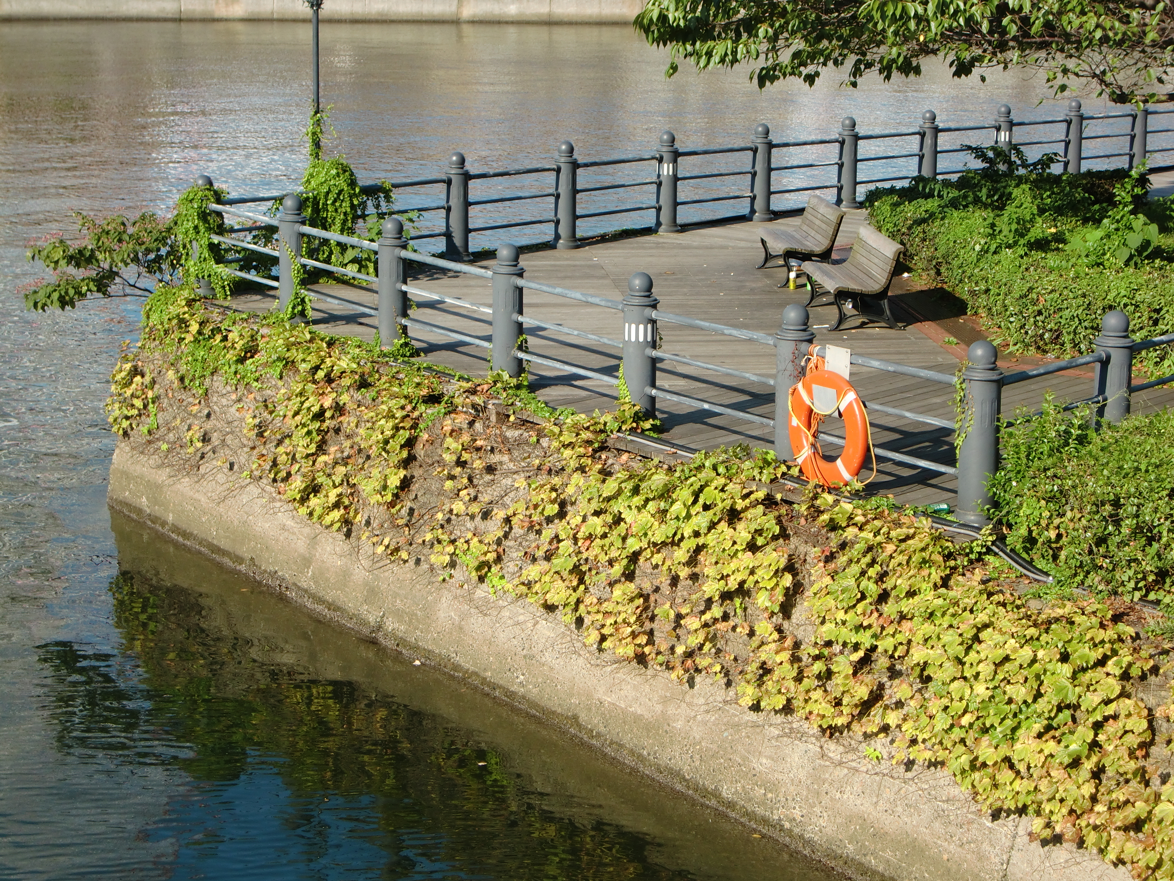 <STRONG>EX-Z450 / 4,000×3,000 / 1/400秒 / F4.6 / 0EV / ISO64 / プログラム / WB:オート / 13.9mm</STRONG>