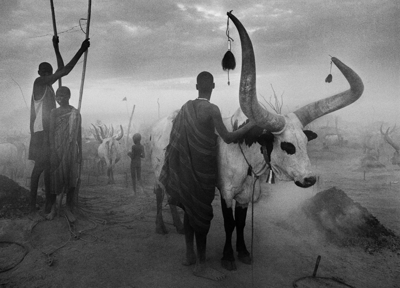 <b>パガラウ放牧キャンプのディンカ族、南部スーダン、2006年<br>Photographs by Sebastia~o Salgado / Amazonas images. Organized by Le'lia Wanick Salgado, the exhibition curator.</b>