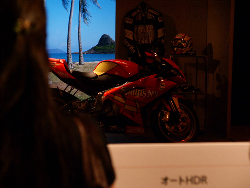 <b>α550の新機能「オートHDR」の効果を体験するセットを用意</b>