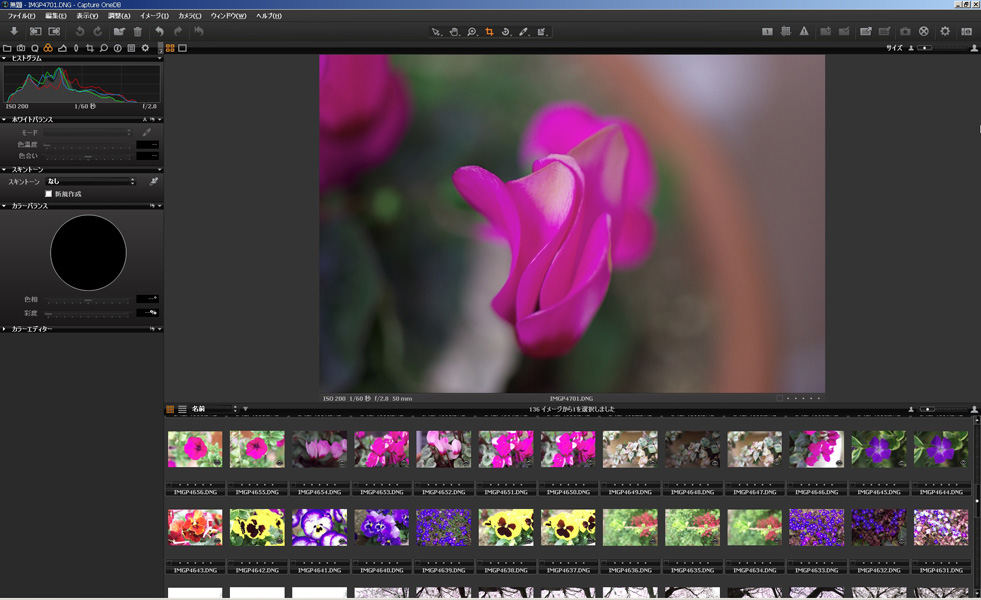 <b>（写真はCapture One 4）</b>