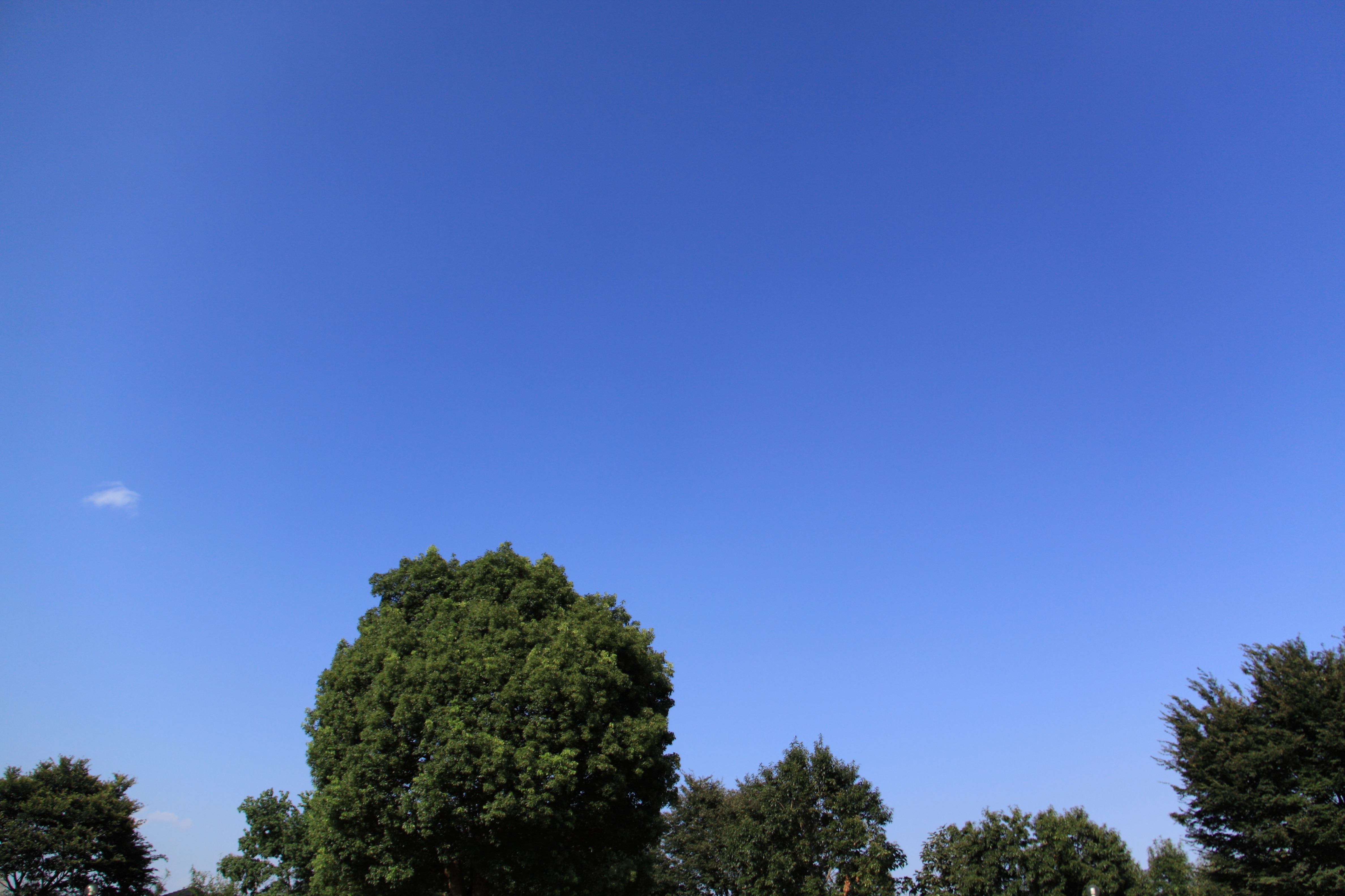 <b>補正量120に設定</b>